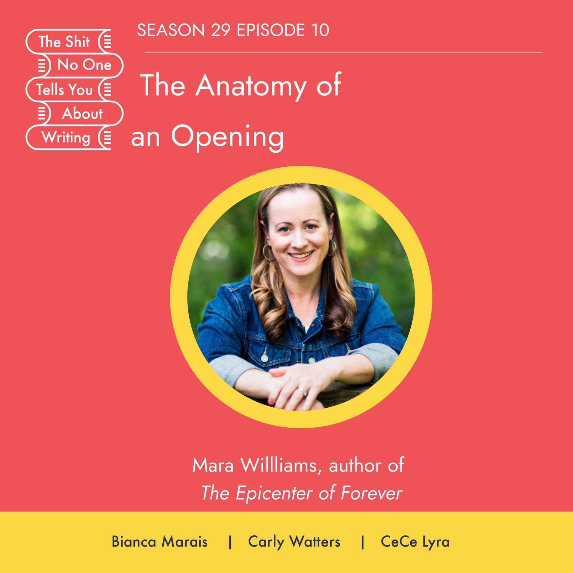 The Anatomy of an Opening — The Shit No One Tells You About Writing cover