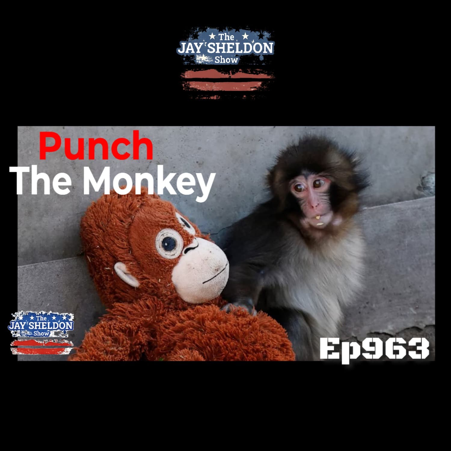 Punch The Monkey - The Jay Sheldon Show cover
