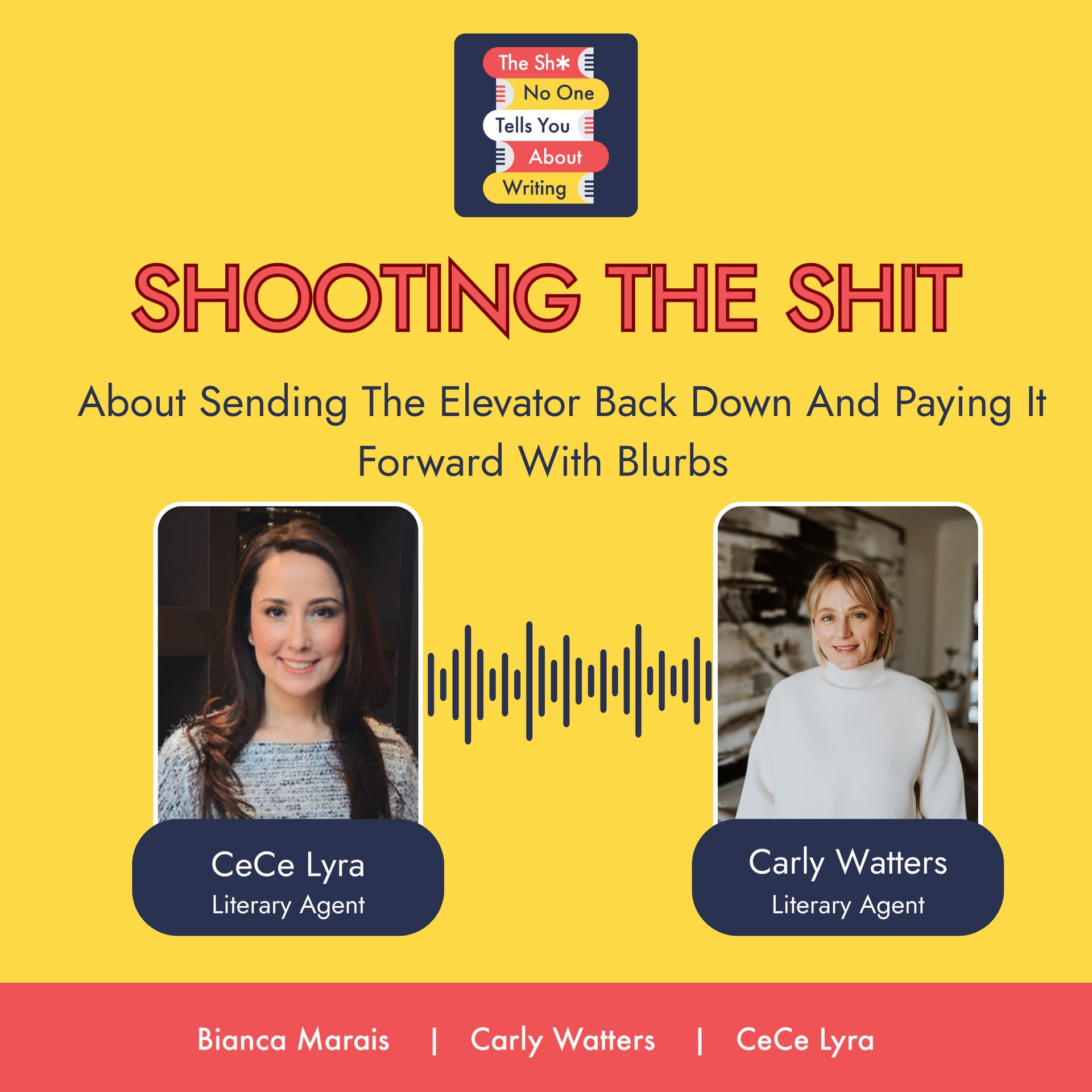 Shooting the Shit About Sending The Elevator Back Down And Paying It Forward With Blurbs - The Shit No One Tells You About Writing cover
