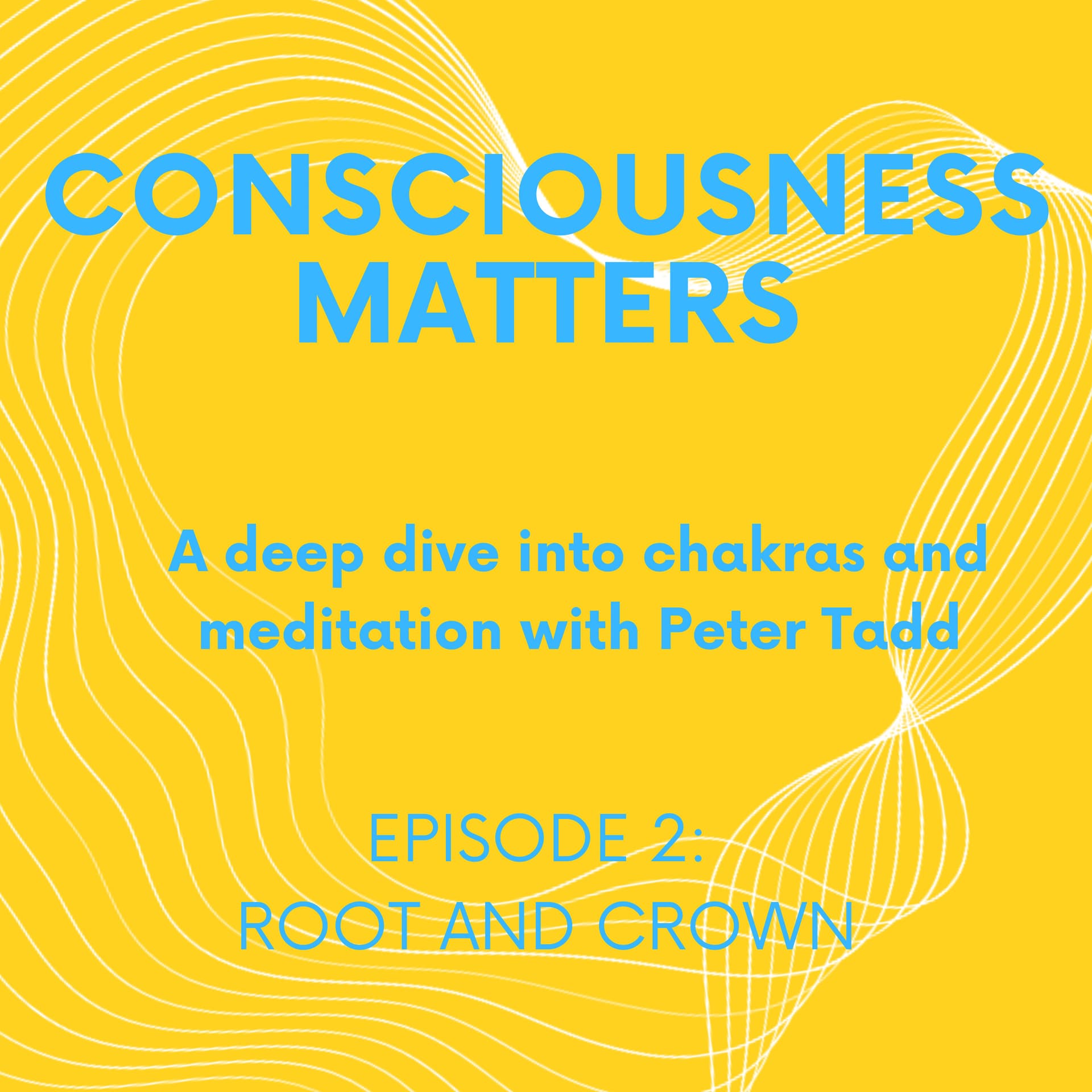 Root and Crown - Consciousness Matters: A deep dive into chakras and meditation cover