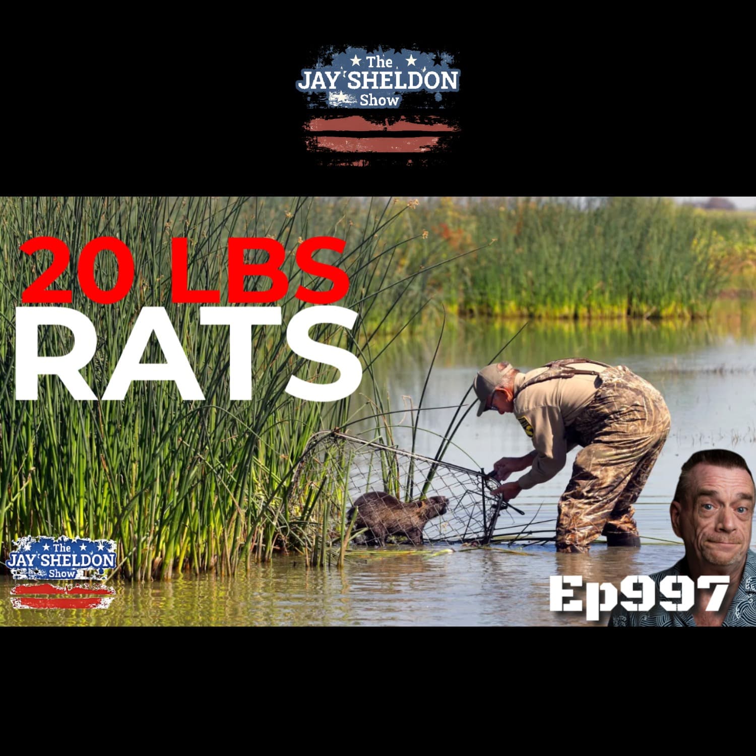 20-Pound Rats - The Jay Sheldon Show cover