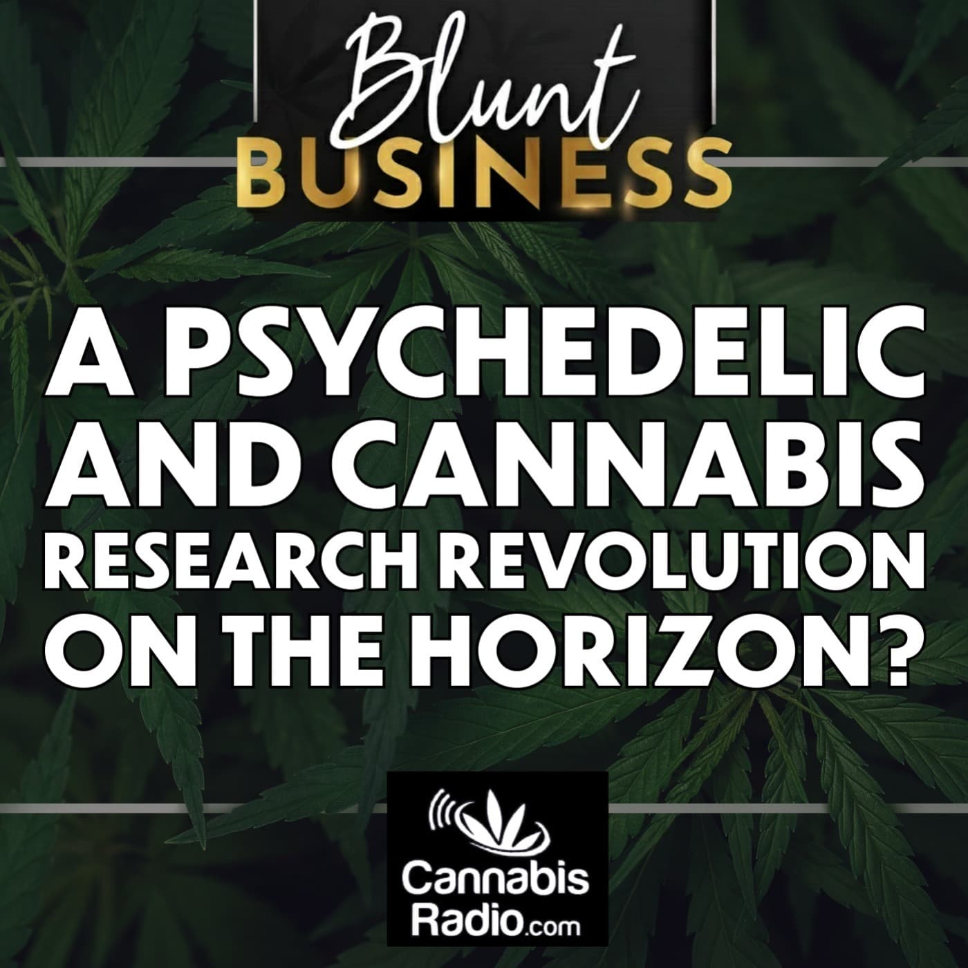 A Psychedelic and Cannabis Research Revolution On the Horizon? - Blunt Business cover