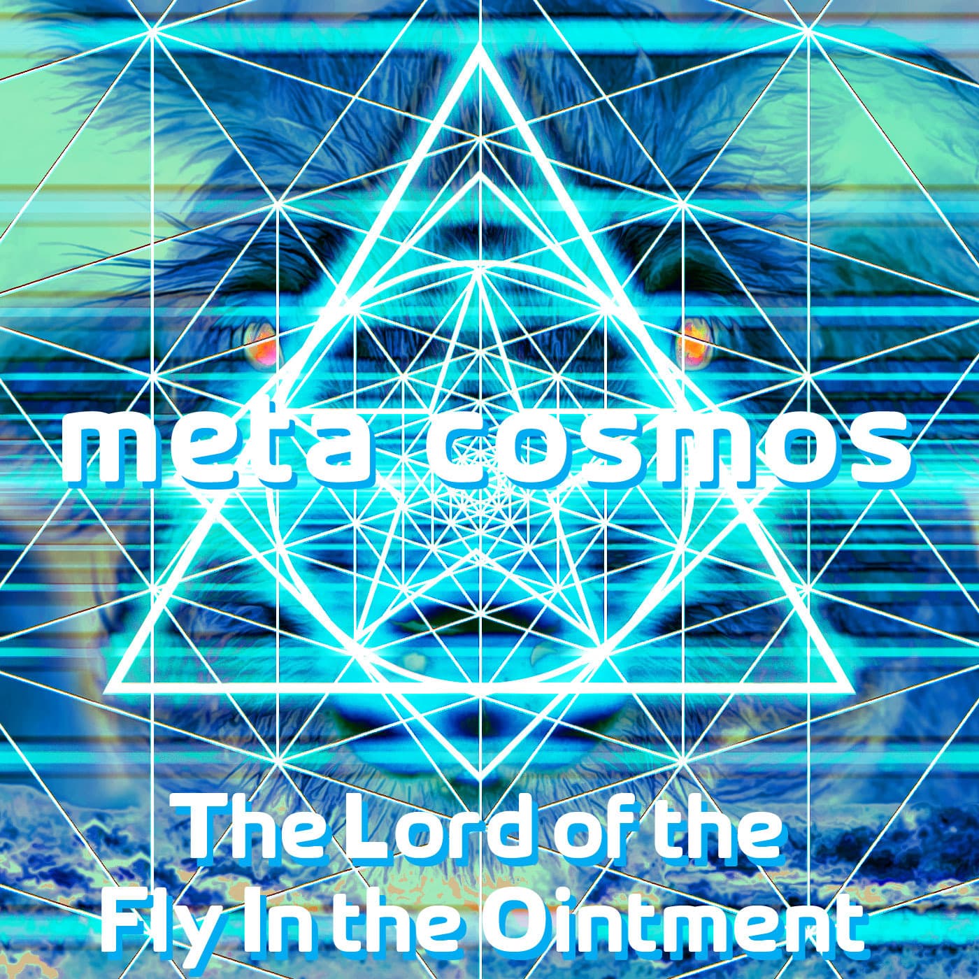 174: The Lord of the Fly In the Oinment [Tao Te Ching Ch.15] — Meta-Cosmos cover