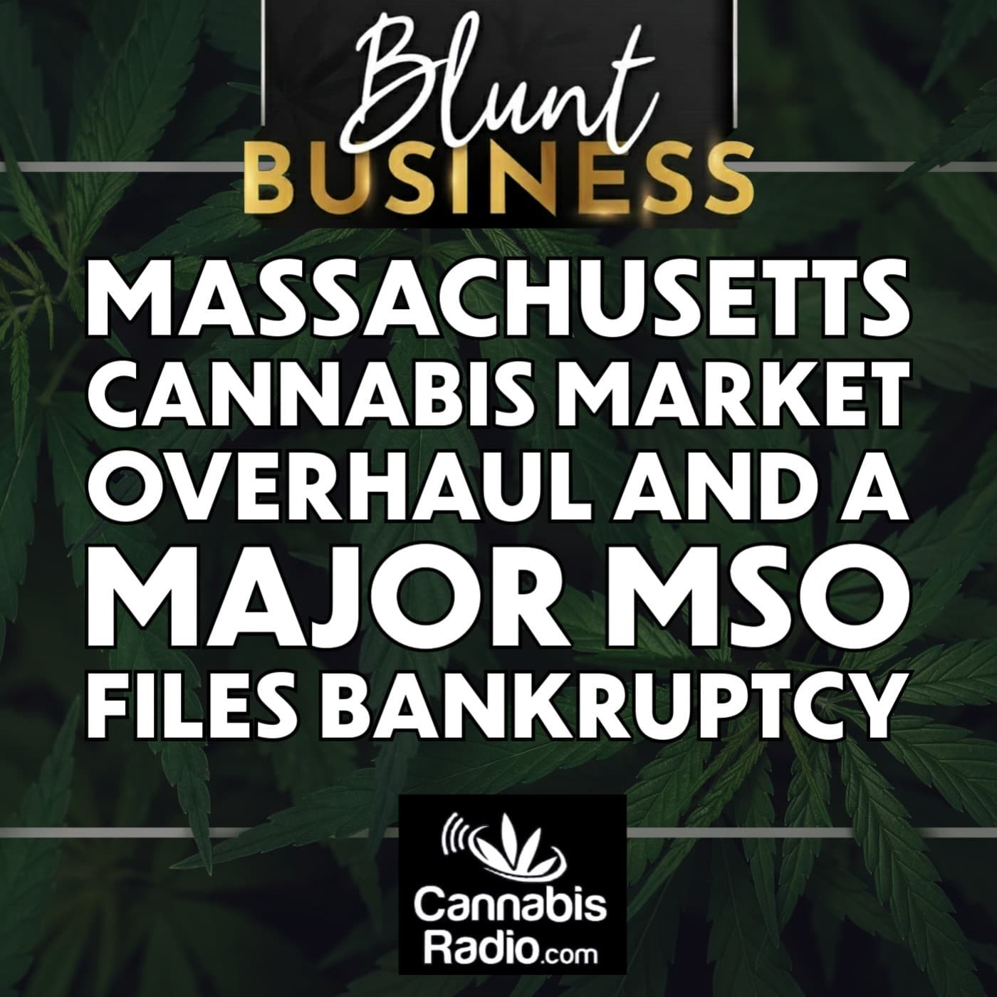 Massachusetts Cannabis Market Overhaul and a Major MSO Files Bankruptcy — Blunt Business cover