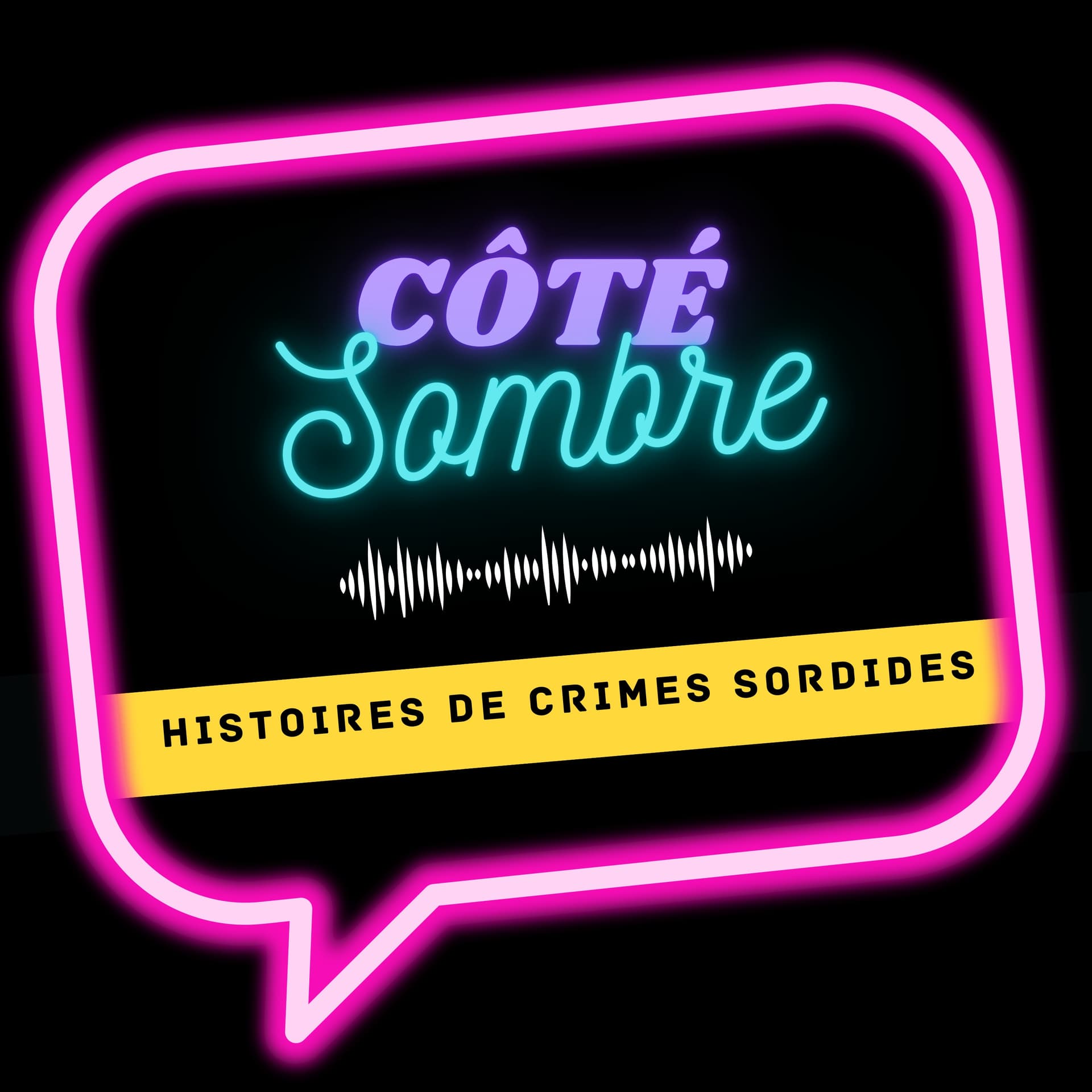 173. Runyleidy Medina-Pacheco - Une histoire de Florida Woman - Côté Sombre cover