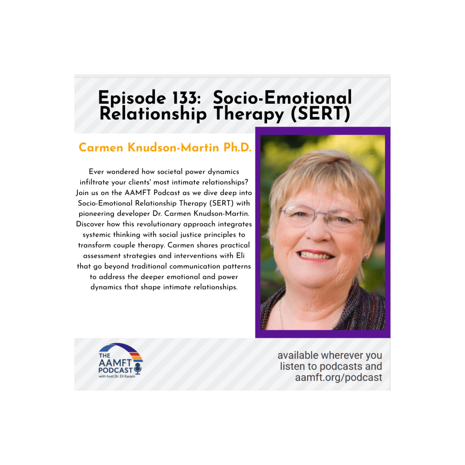 Episode 133: Socio-Emotional Relationship Therapy (SERT) - The AAMFT Podcast cover