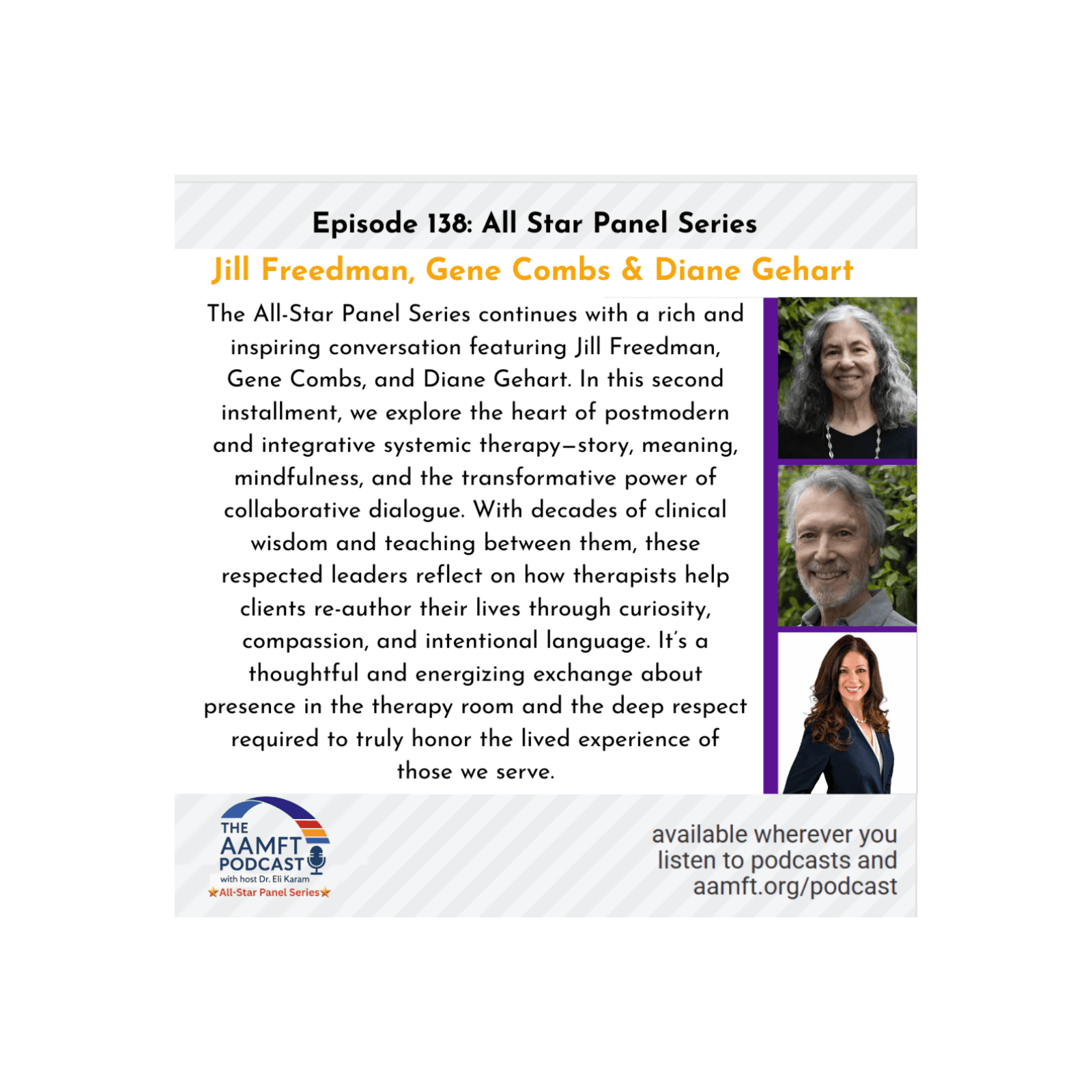Episode 138:All Star Panel Series Jill Freedman, Gene Combs & Diane Gehart  - The AAMFT Podcast cover