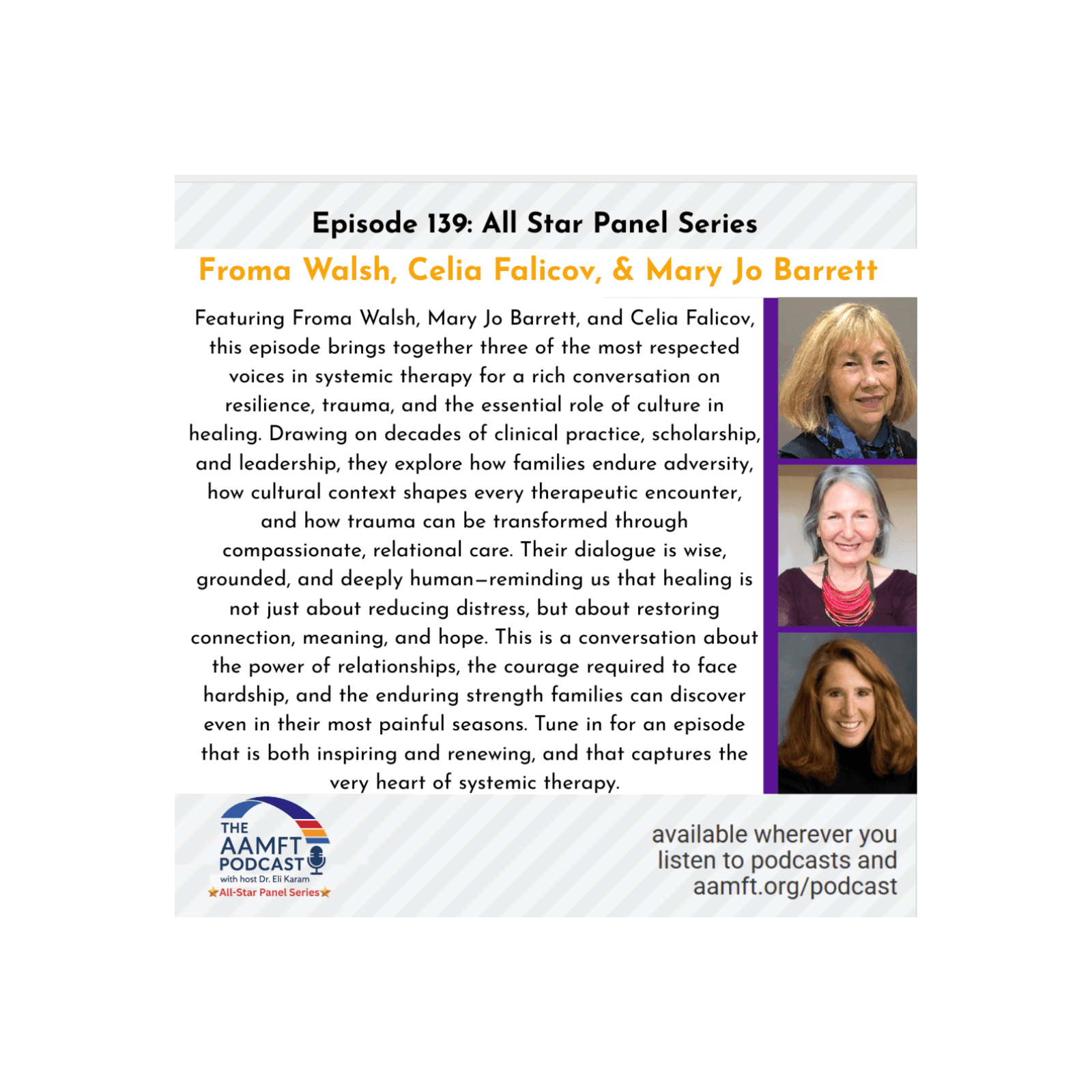 Episode 139: AAMFT All-Star Panel Series Froma Walsh, Celia Falicov & Mary Jo Barrett - The AAMFT Podcast cover