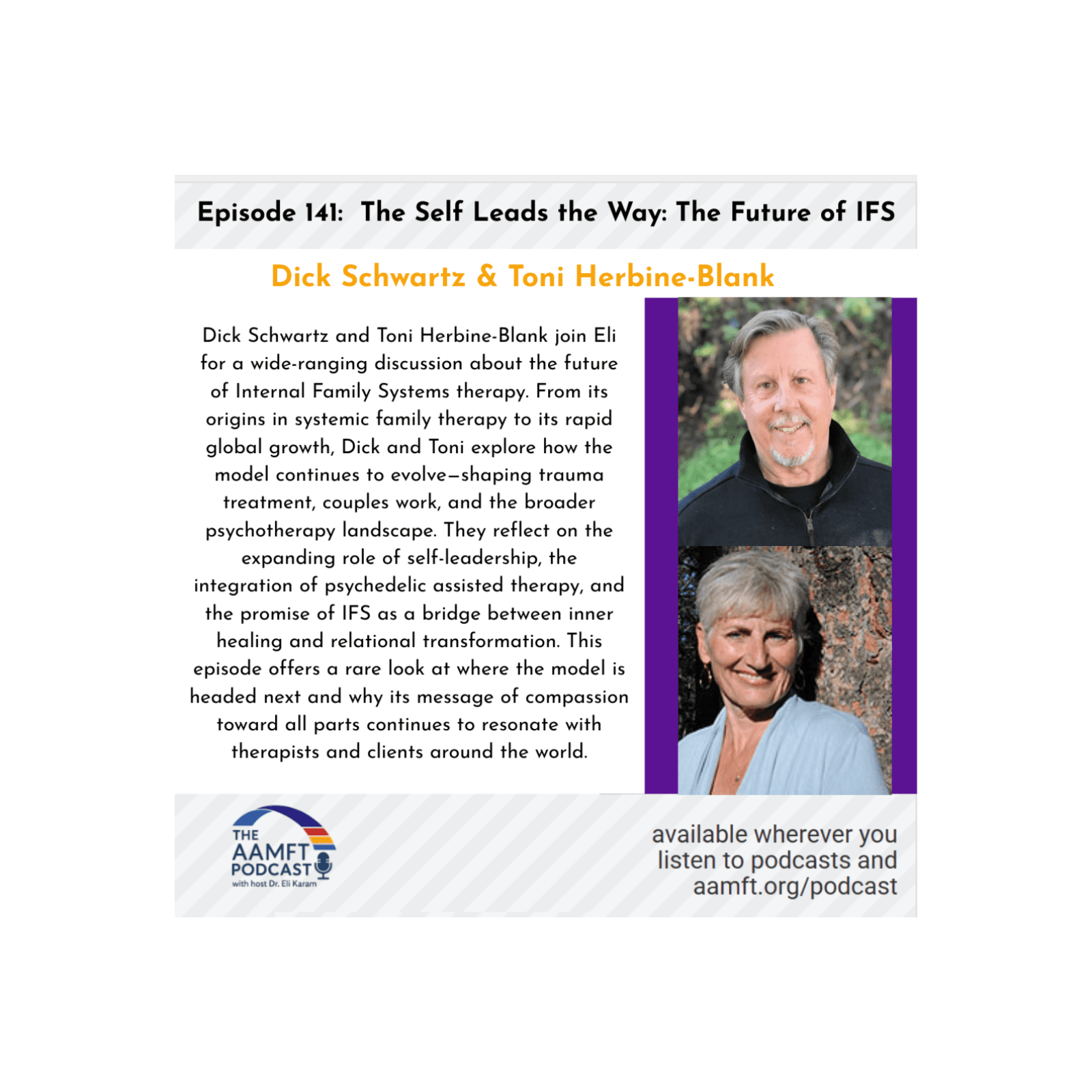 Episode 141: The Self Leads the Way: The Future of IFS - The AAMFT Podcast cover