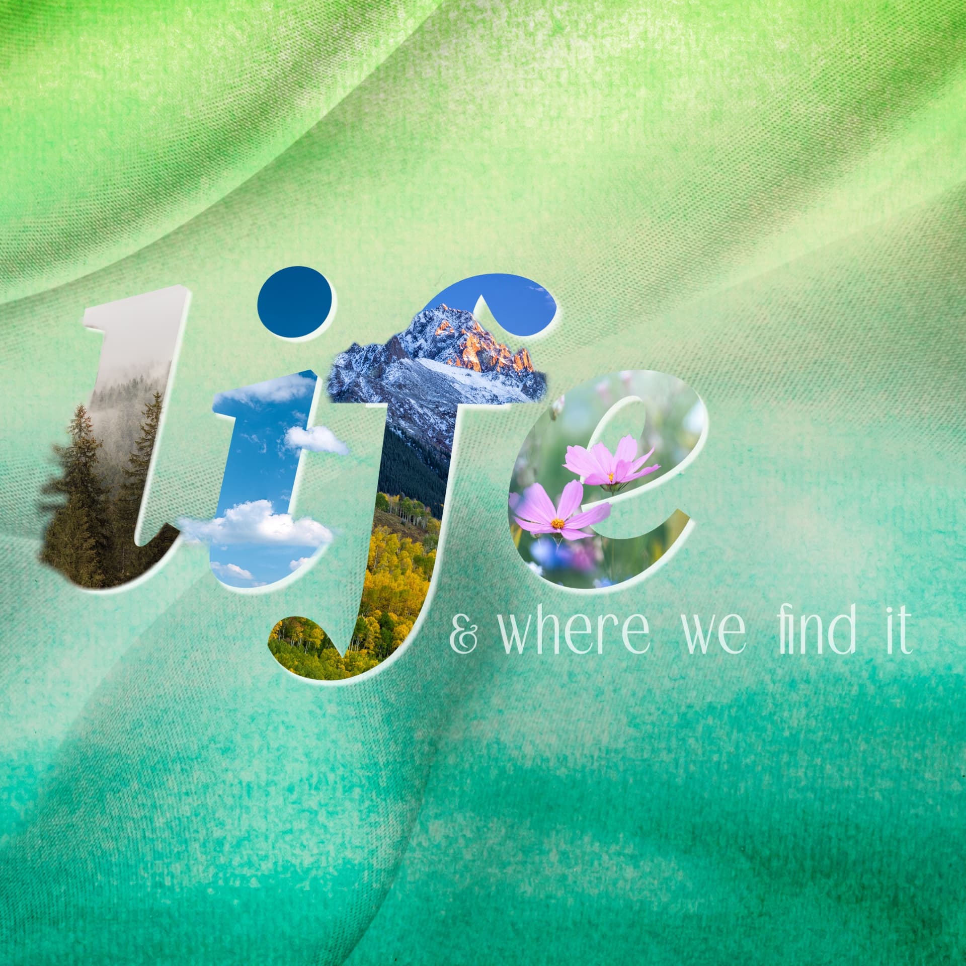 The Bread of Life - Ada Bible Church Podcast cover