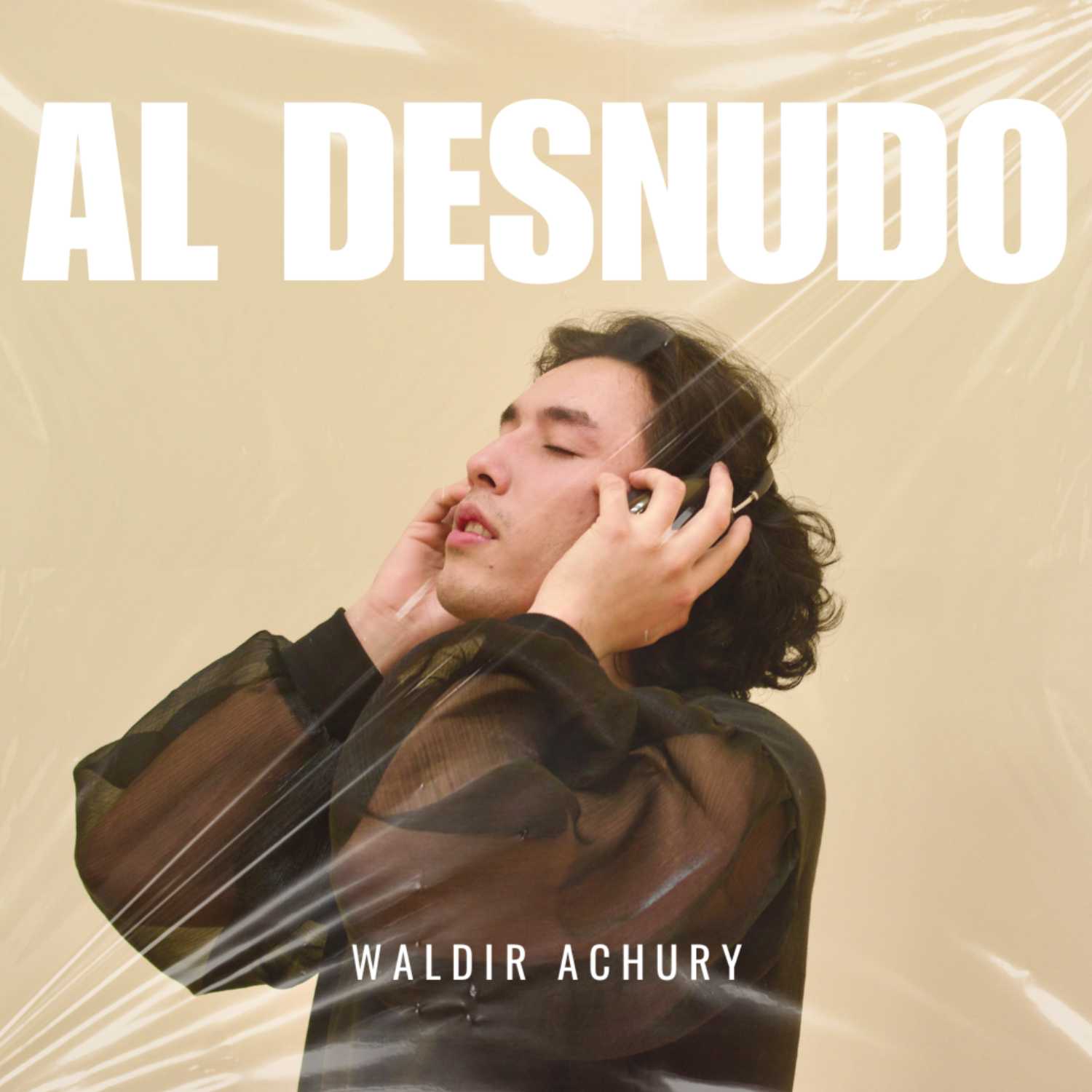 Al Desnudo cover