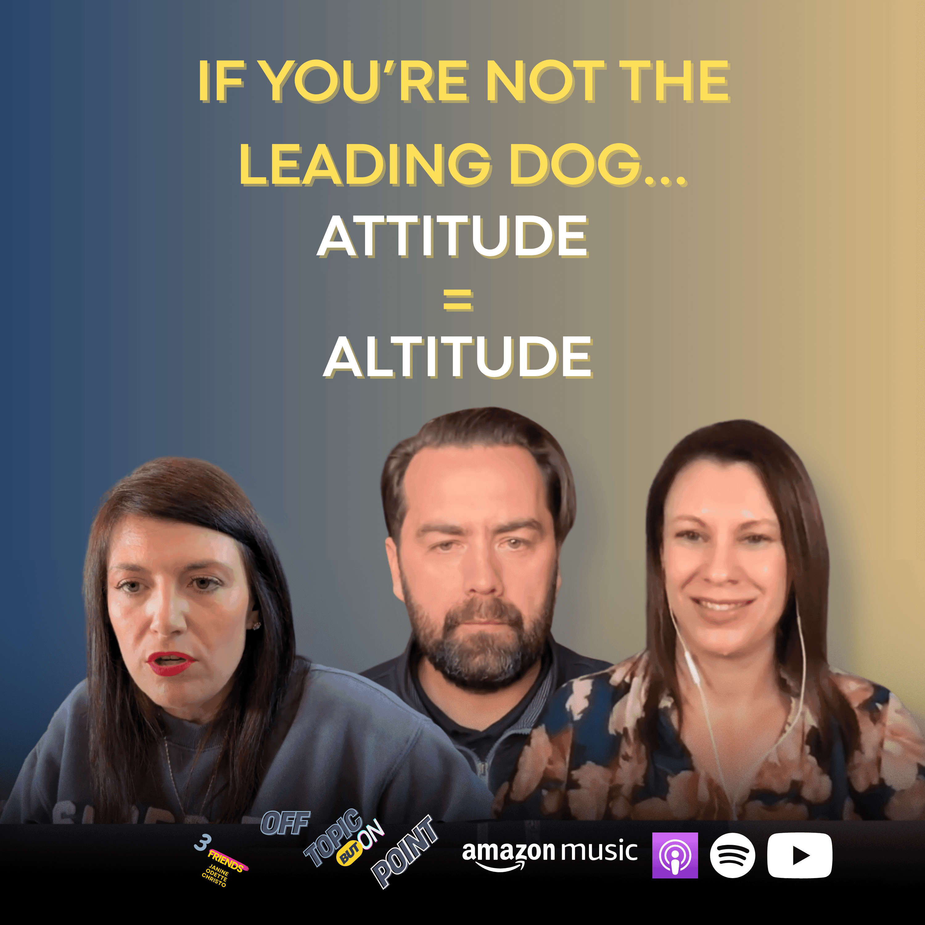 Principles That Shape Us: The Life Lessons We Live and Lead By - Amplify with Purpose: Business & Life Unlocked cover