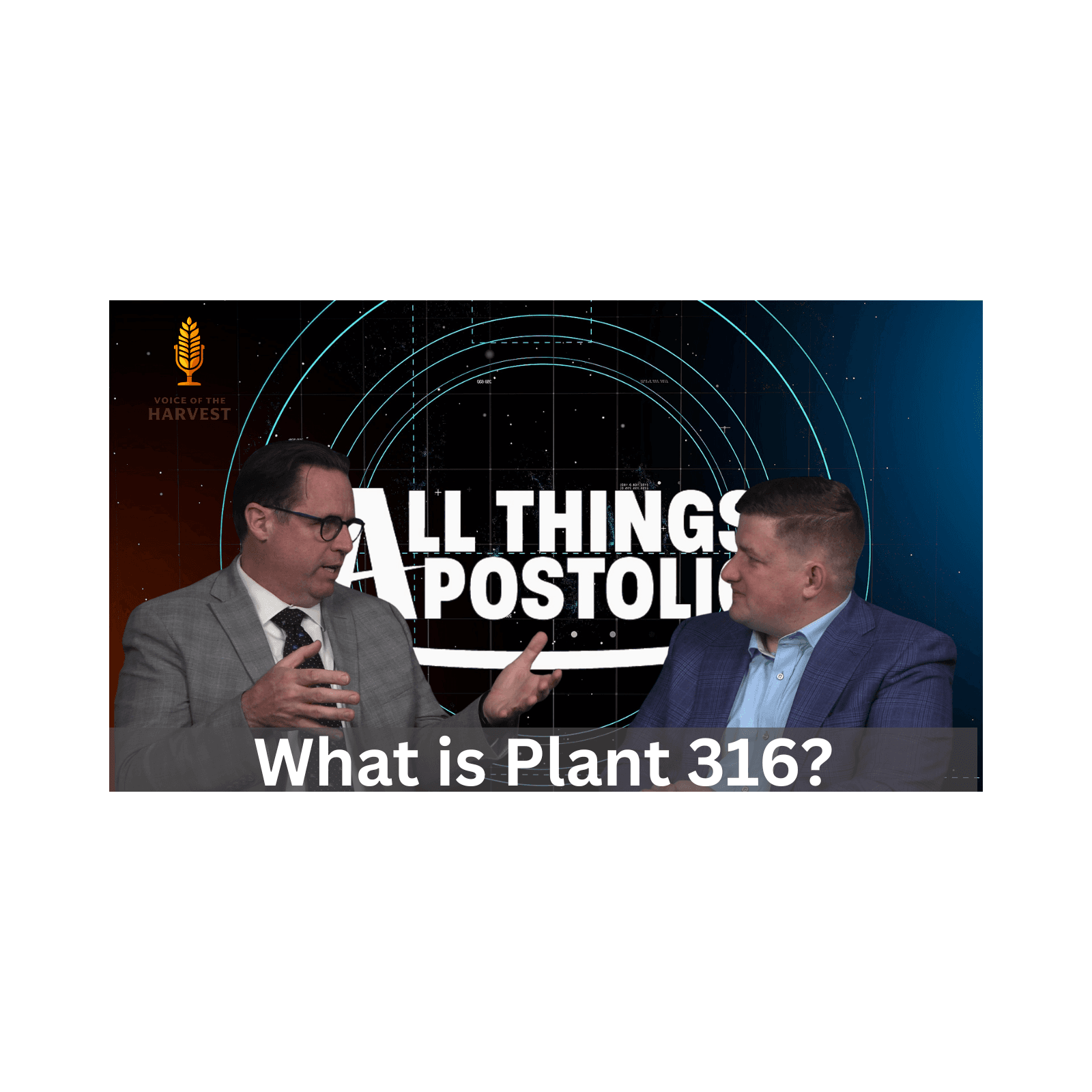 What is Plant 316  - All Things Apostolic  cover