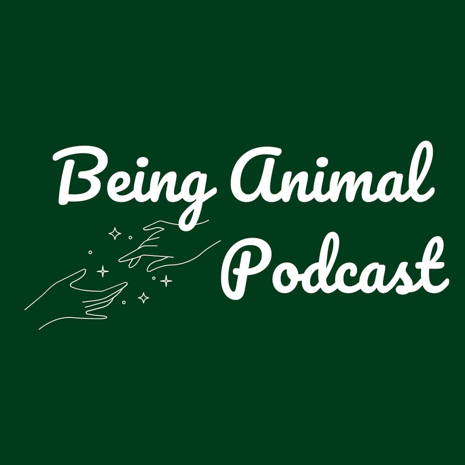 Virginia Stickseed is my Teacher - Being Animal cover