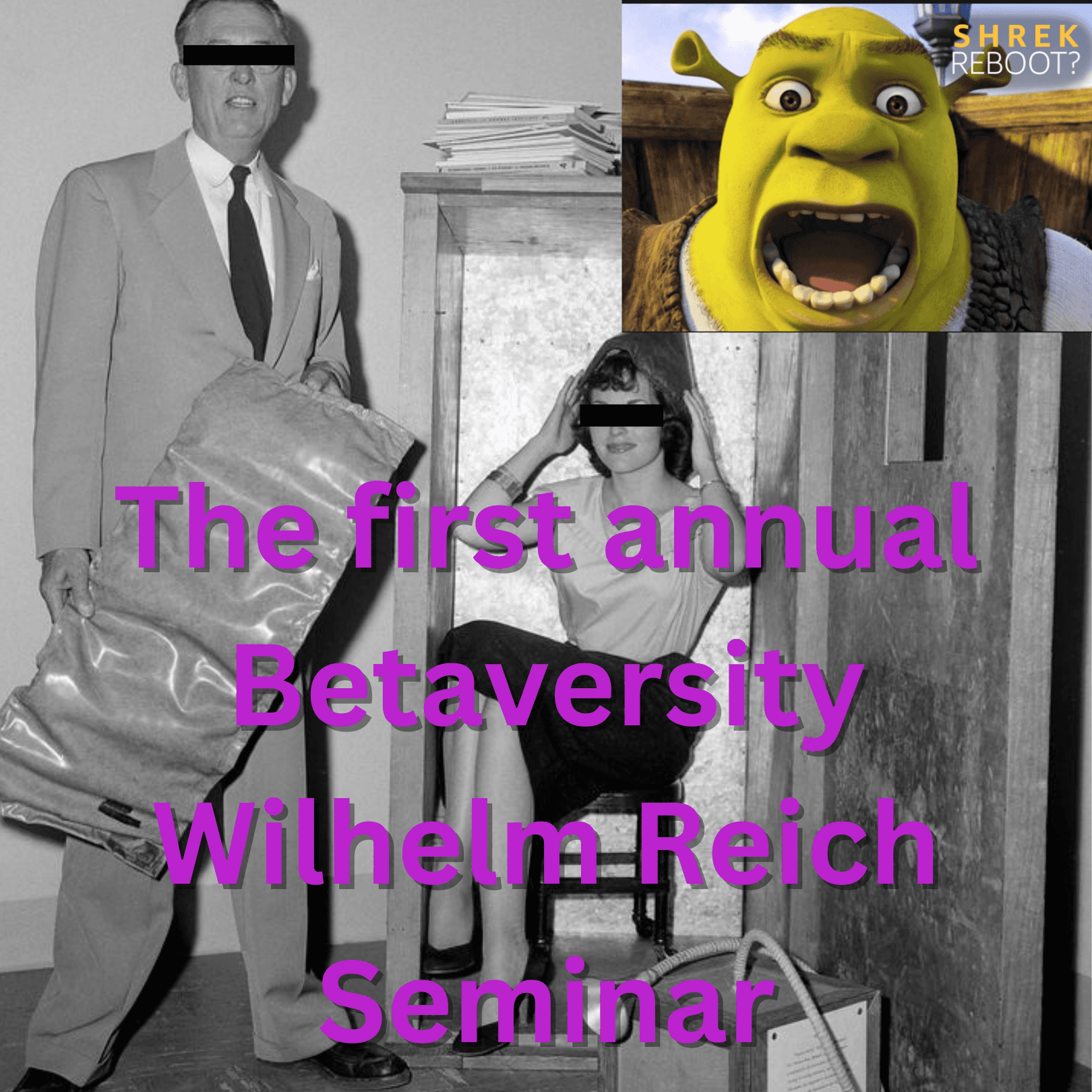 27 Reich is Love Reich is Life ft. Thank_U_For_Shopping Ben and Sara — the Betaverse cover