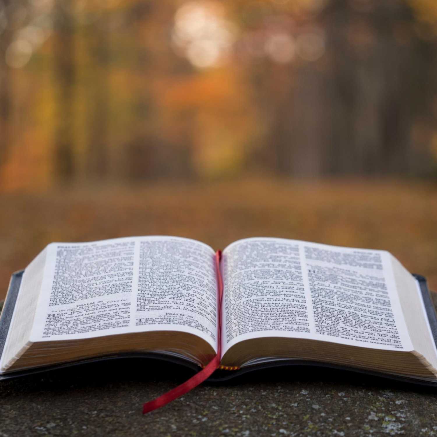 Bible Studies cover