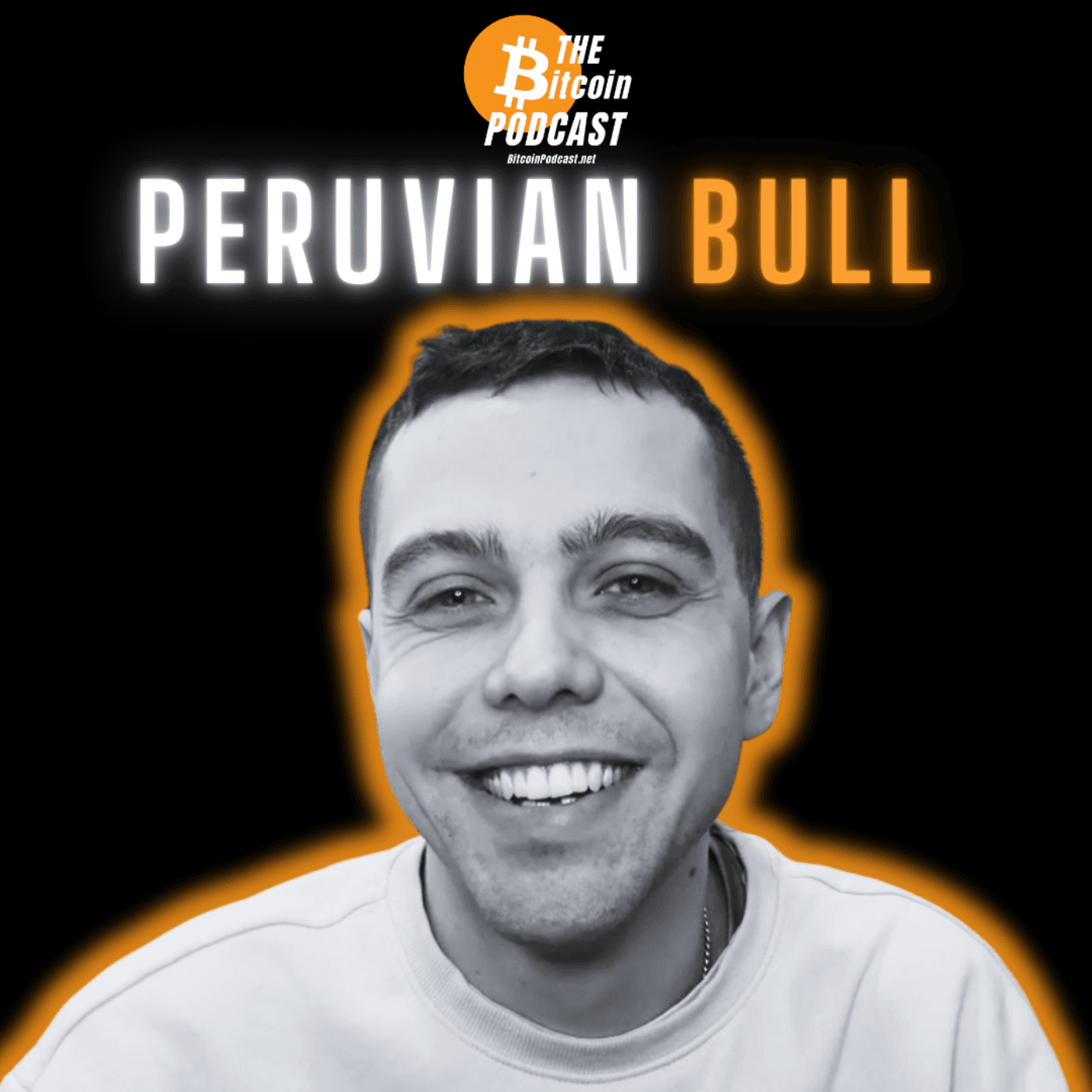BITCOIN, GAMESTOP, GOLD & WHAT HAPPENS NEXT | Peruvian Bull (THE Bitcoin Podcast) - THE Bitcoin Podcast cover