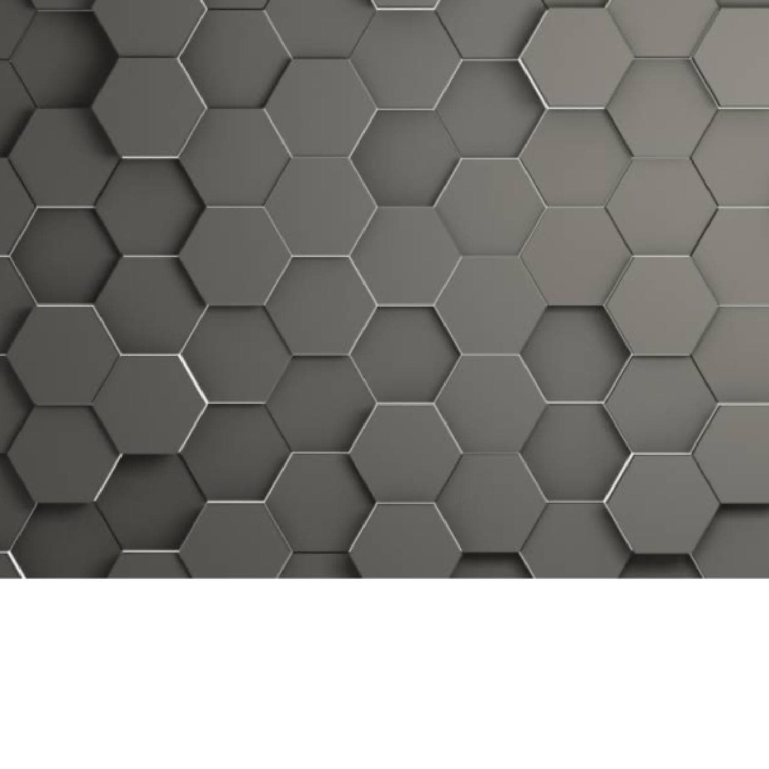 Calling All Explorers cover