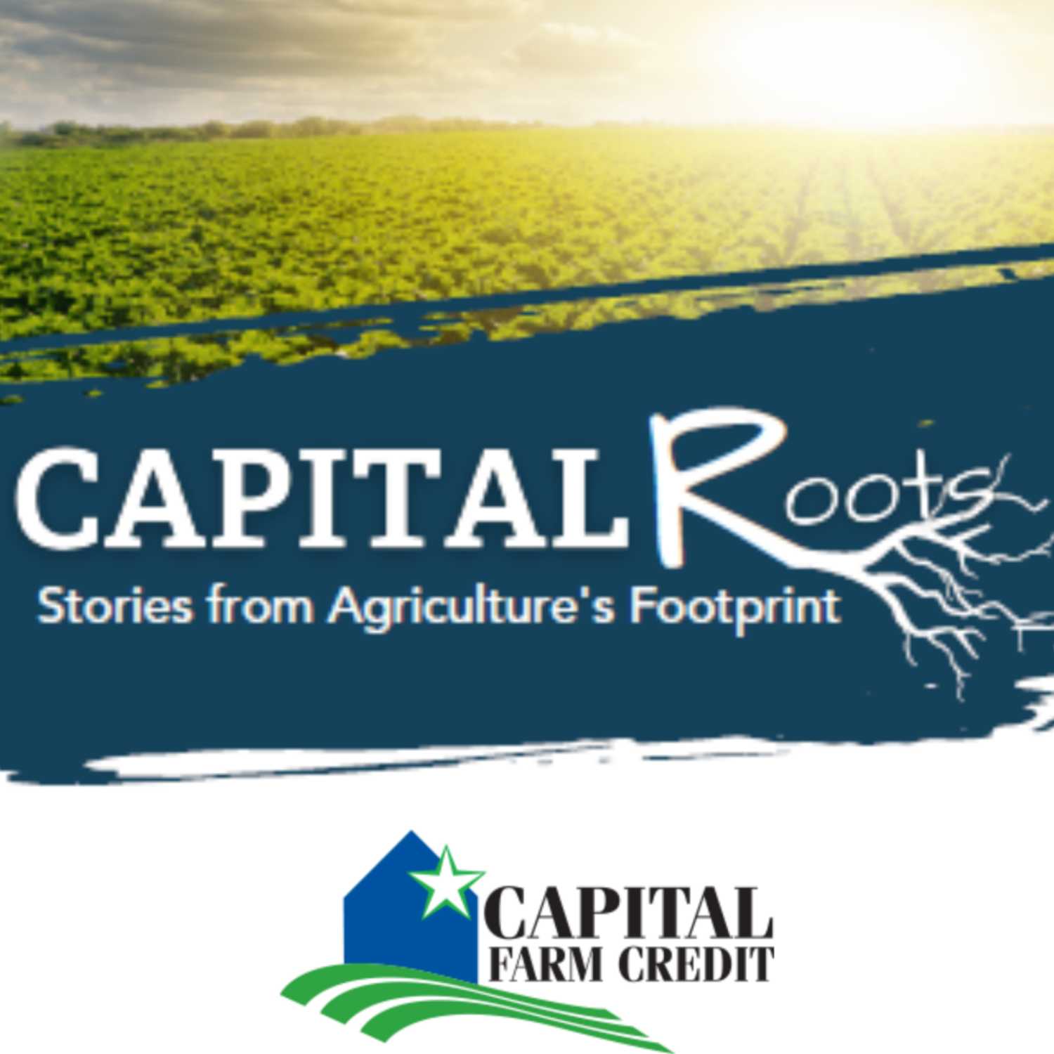Capital Roots: Stories from Agriculture's Footprint cover