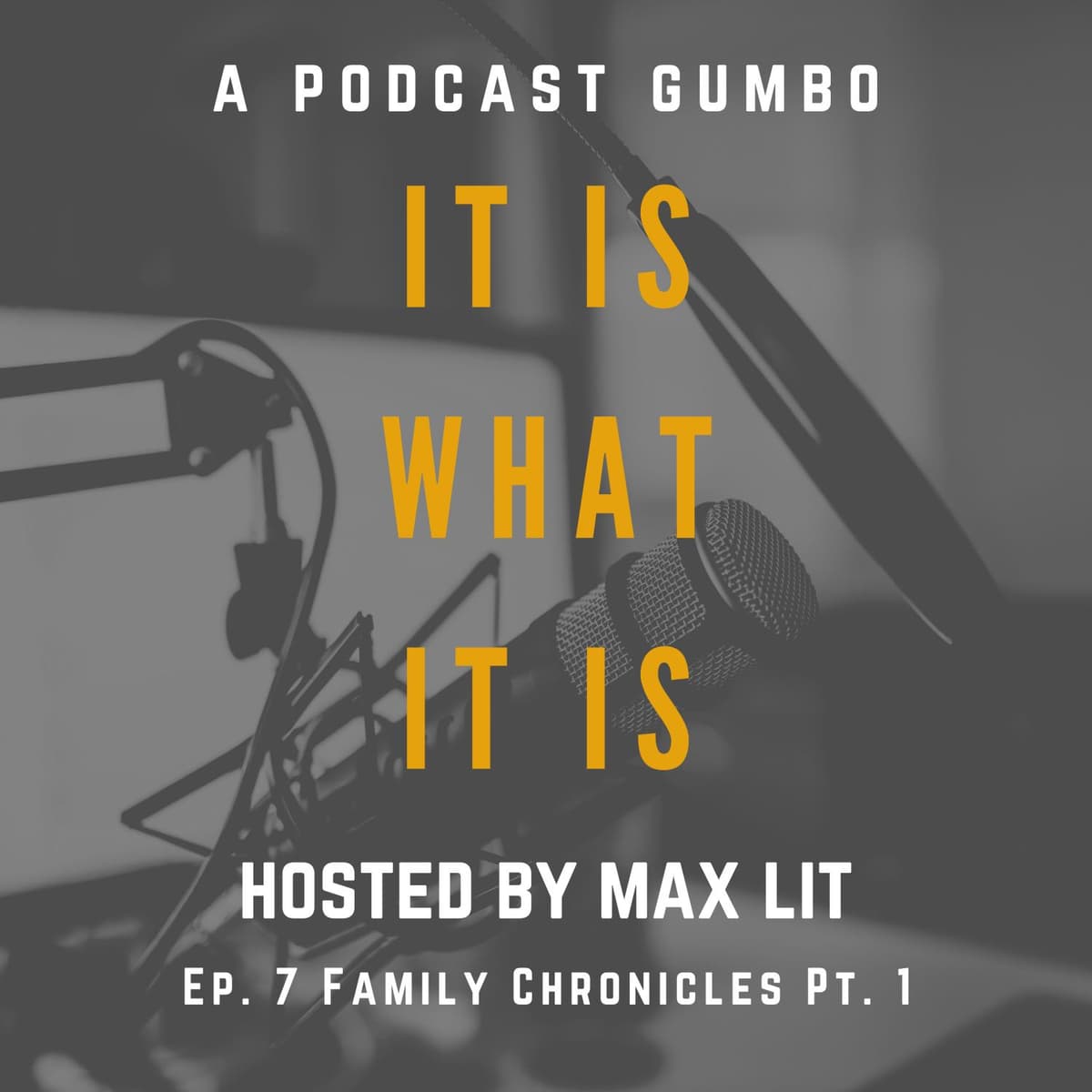 Ep. 7 Family Chronicles Pt. 1 - It Is What It Is: a podcast gumbo cover