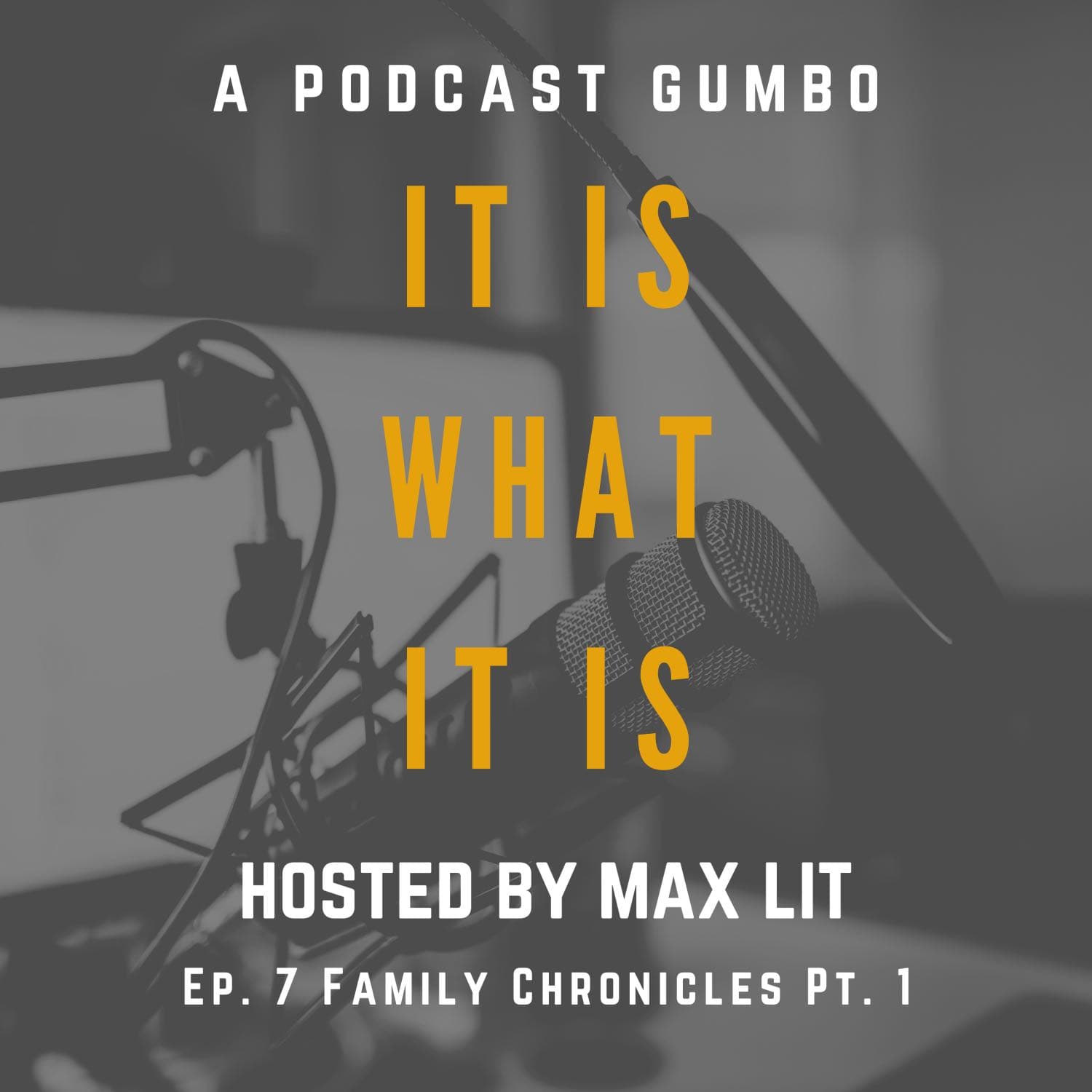 Ep. 7 Family Chronicles Pt. 1 - It Is What It Is: a podcast gumbo cover