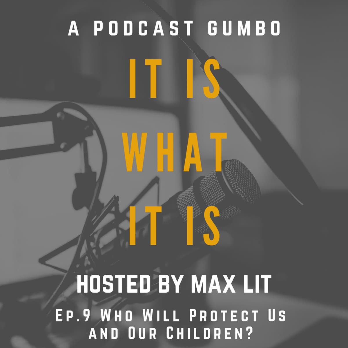 Ep. 9 Who Will Protect Us and Our Children? - It Is What It Is: a podcast gumbo cover
