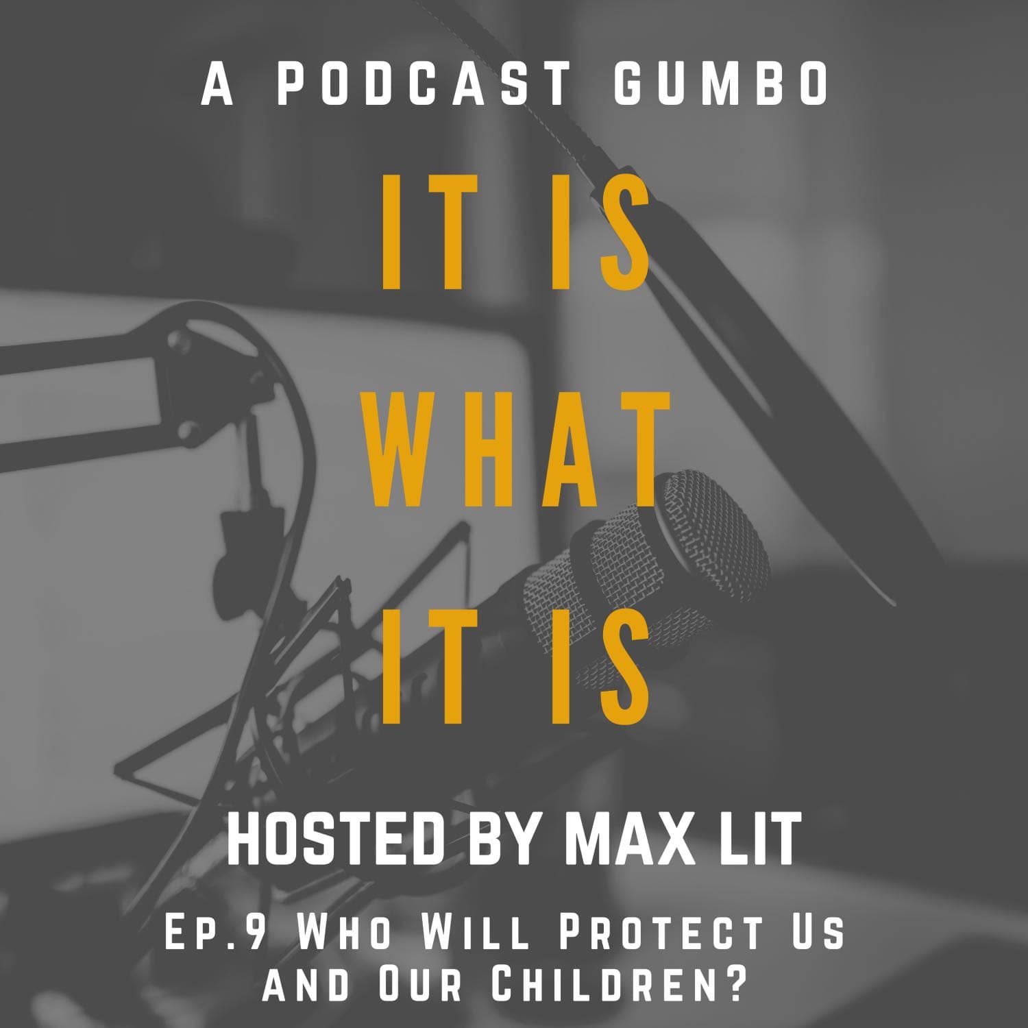 Ep. 9 Who Will Protect Us and Our Children? - It Is What It Is: a podcast gumbo cover