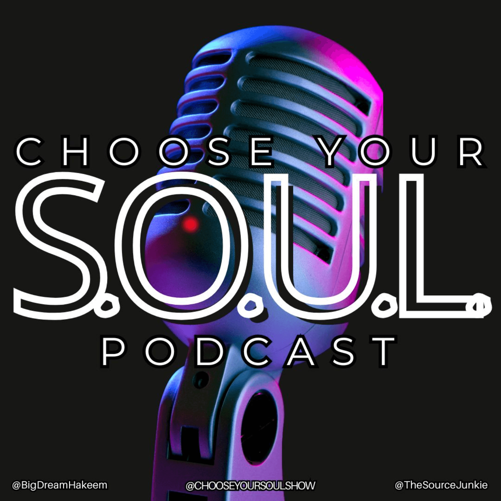 Lessons From Love, Loss, and Revolution with Haddie Djemal - Choose Your S.O.U.L.  cover