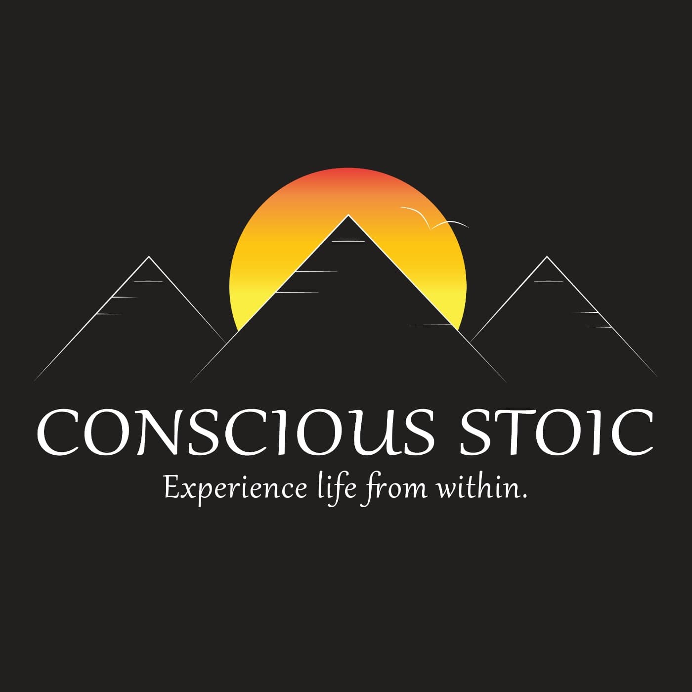 Conscious Stoic  cover