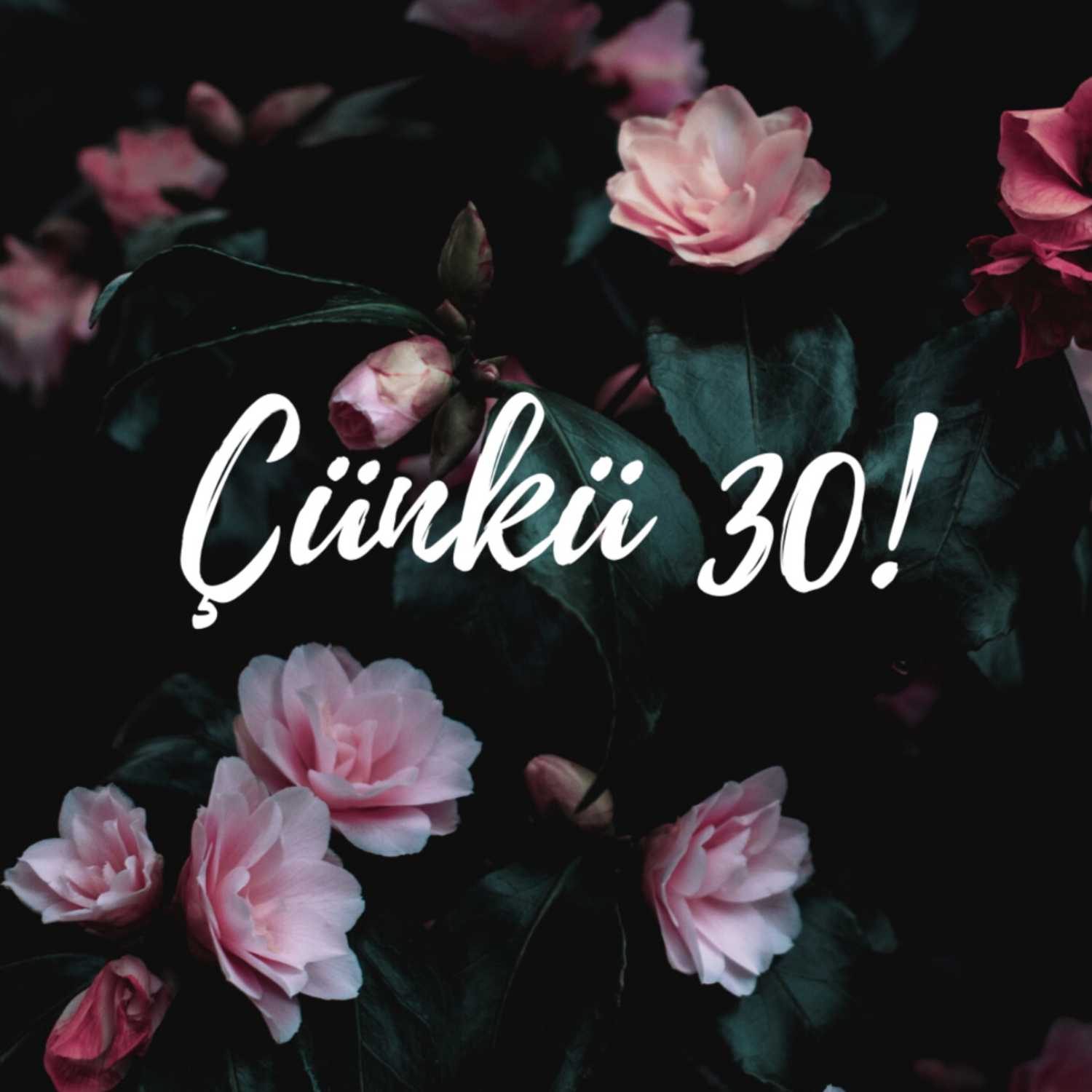 Evlat Edinmek - Bir Masal Yaratmak - Çünkü 30! cover