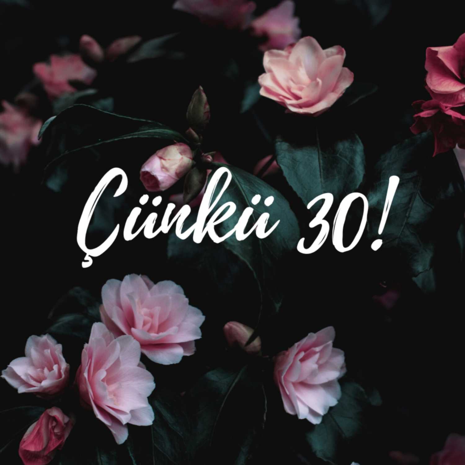 Masal Prensesini Kurtarmak - Çünkü 30! cover