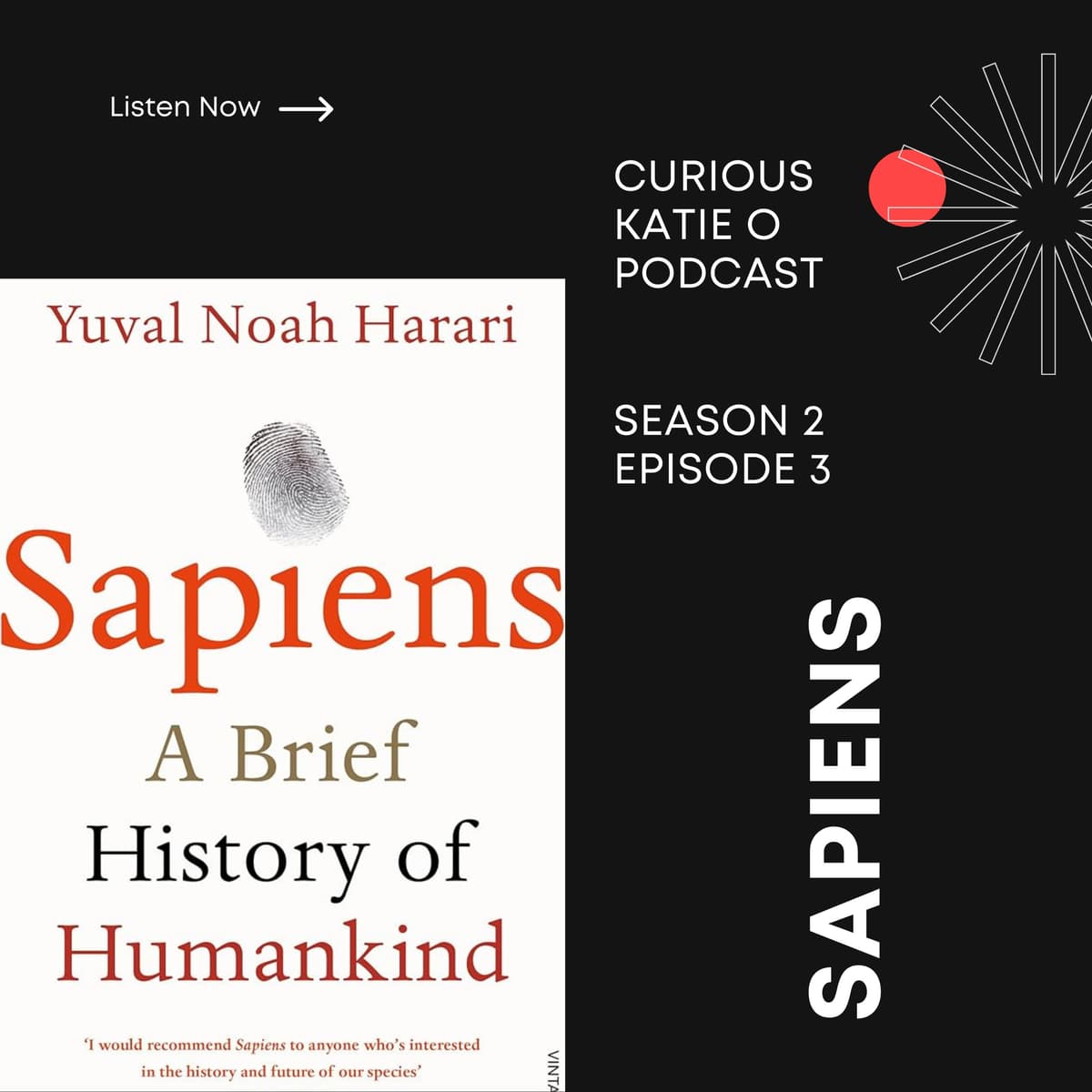 Sapiens - Curious Katie O cover