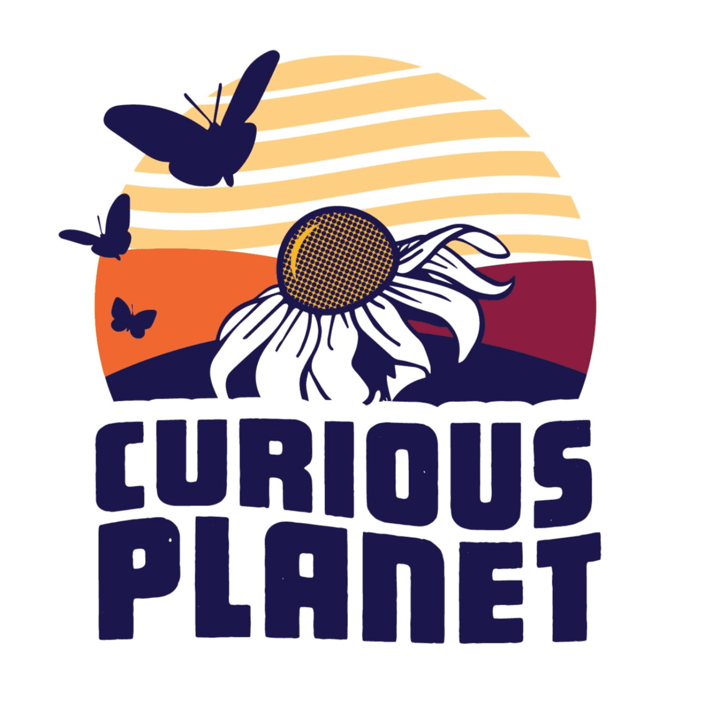 Curious Planet cover
