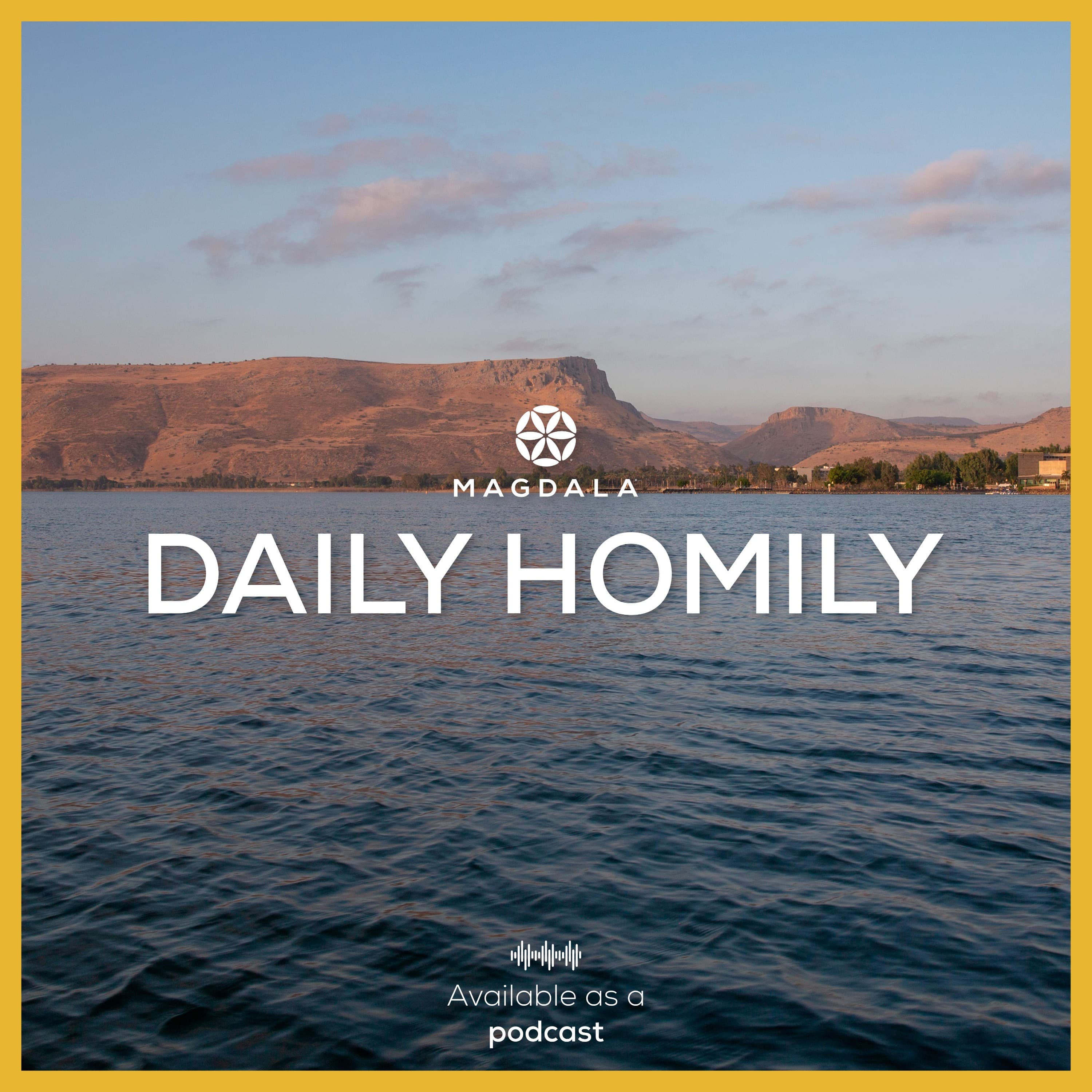 Daily Homily | Cycle A: 2025 – 2026 cover