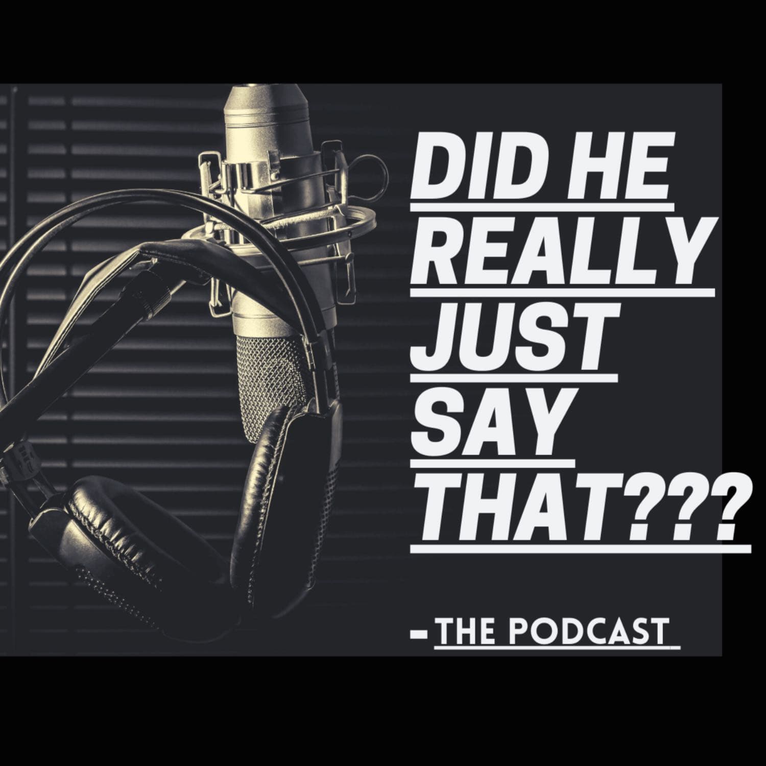 "Did He Really Just Say That???" The Podcast cover