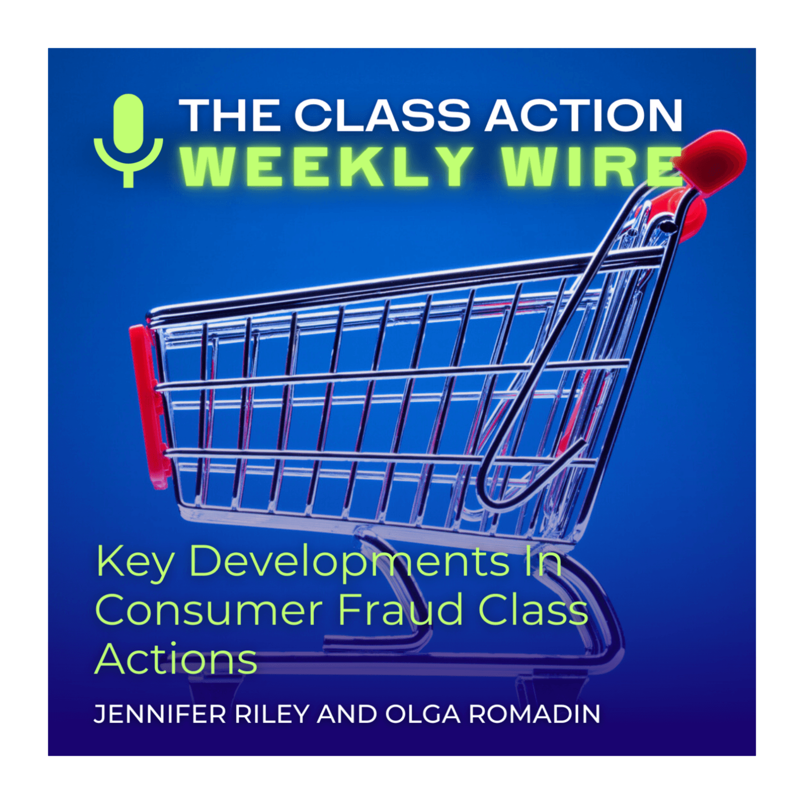  Episode 137: Key Developments In Consumer Fraud Class Actions - The Class Action Weekly Wire cover