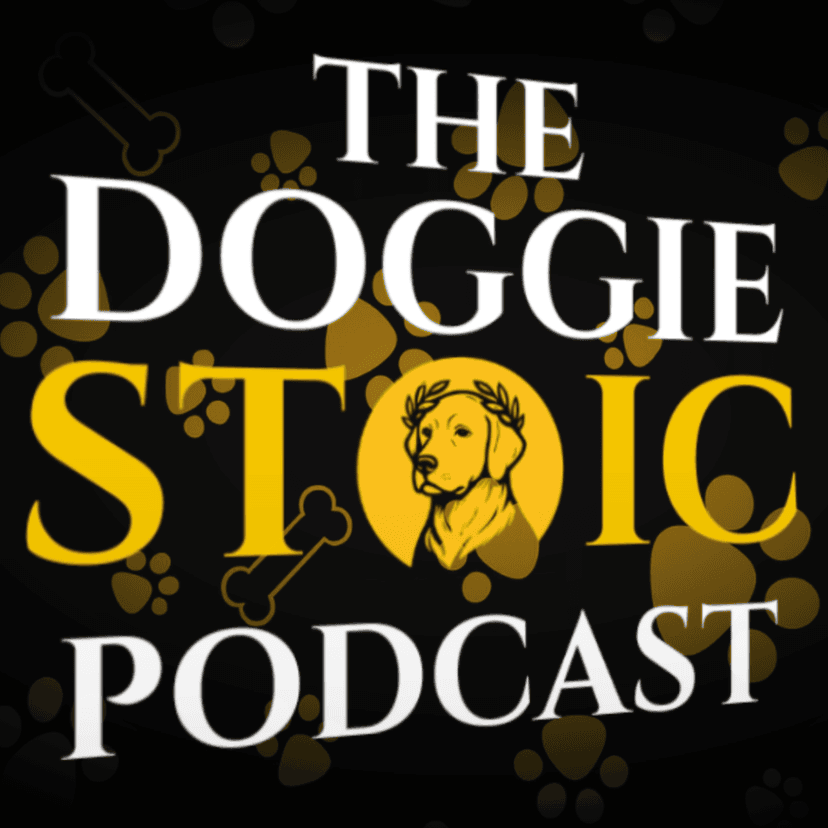 Doggie Stoic cover