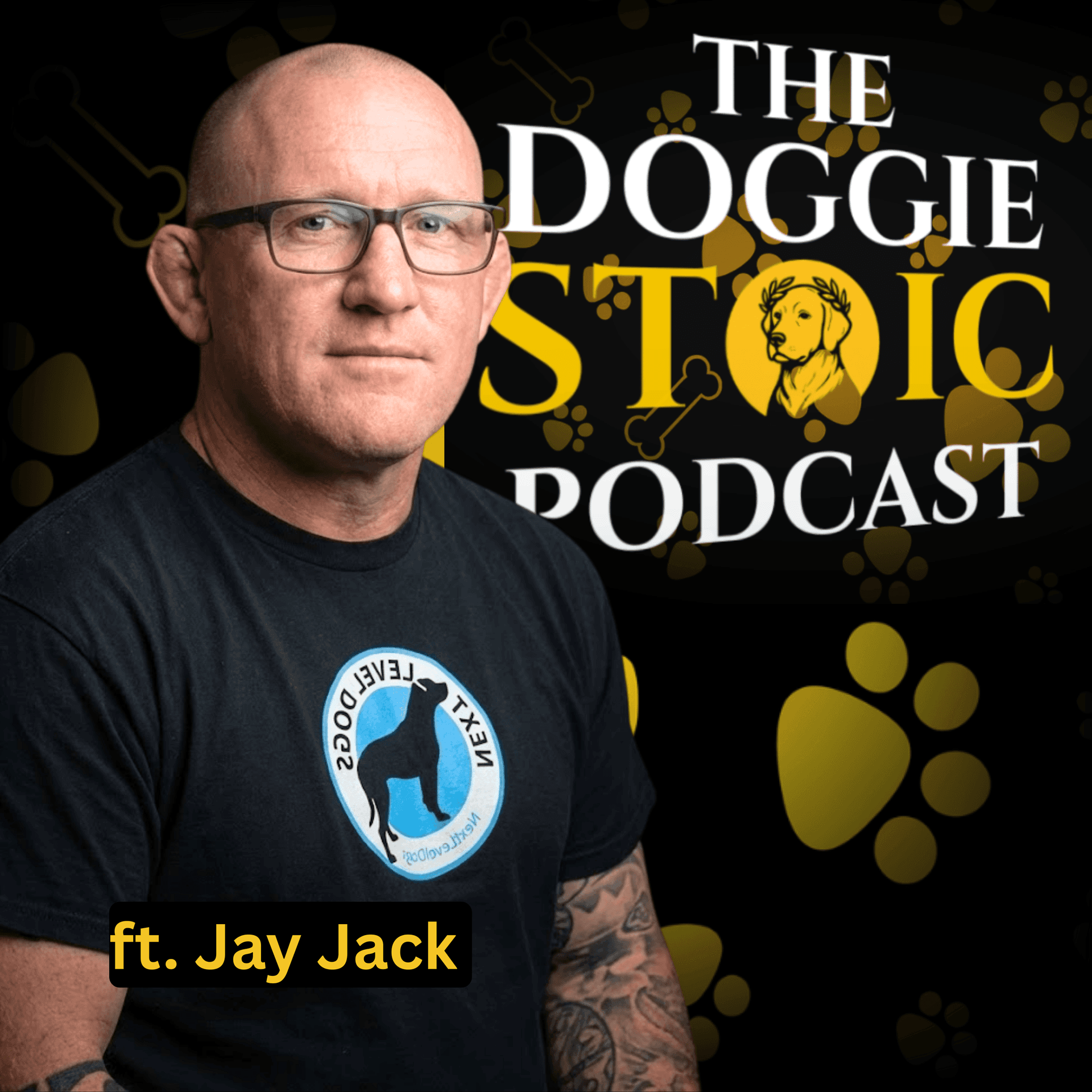 Jay Jack on Dog Training — Emotional Control, Clarity Over Structure, and the Layered Stress Model - Doggie Stoic cover