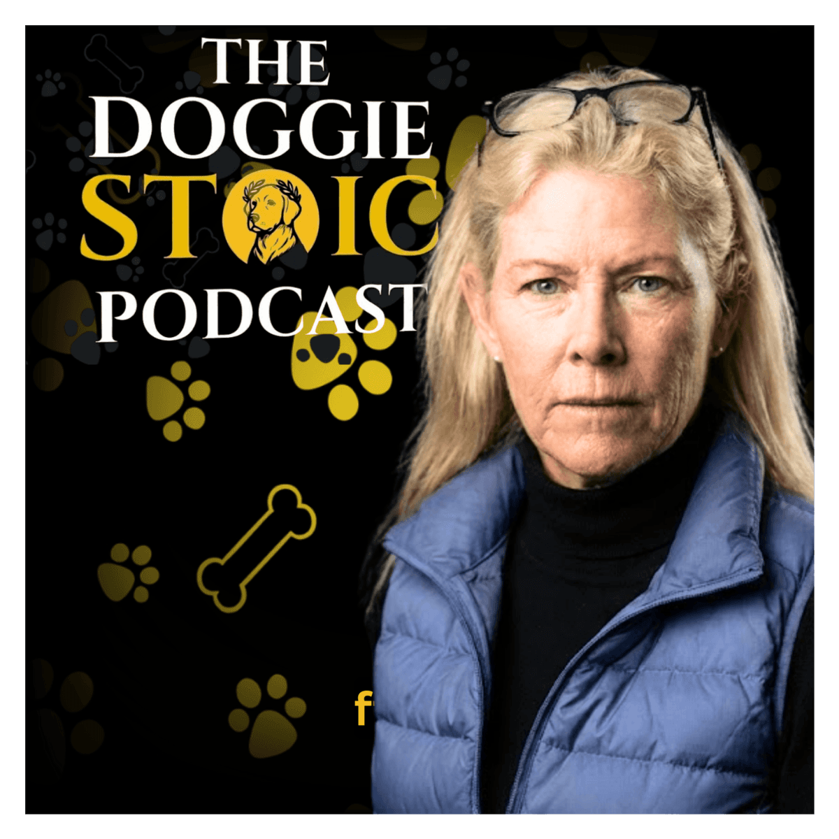 Stop Coddling Your Dog: Montessori Secrets for a Better-Behaved Pet - Doggie Stoic cover