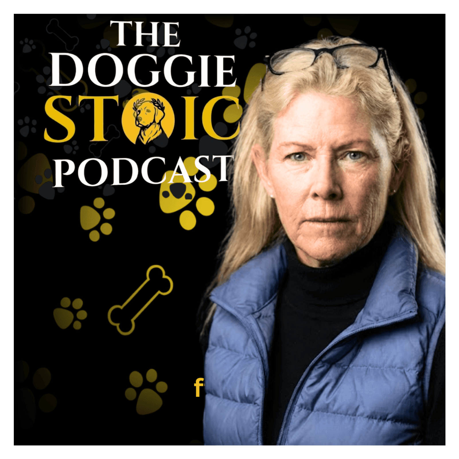 Stop Coddling Your Dog: Montessori Secrets for a Better-Behaved Pet - Doggie Stoic cover