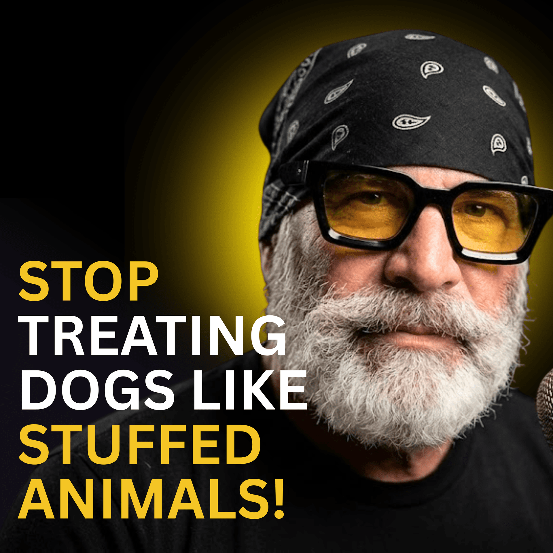 The Unfiltered Legend: Dave Kroyer on Working Dog Reality & Industry Truths - Doggie Stoic cover
