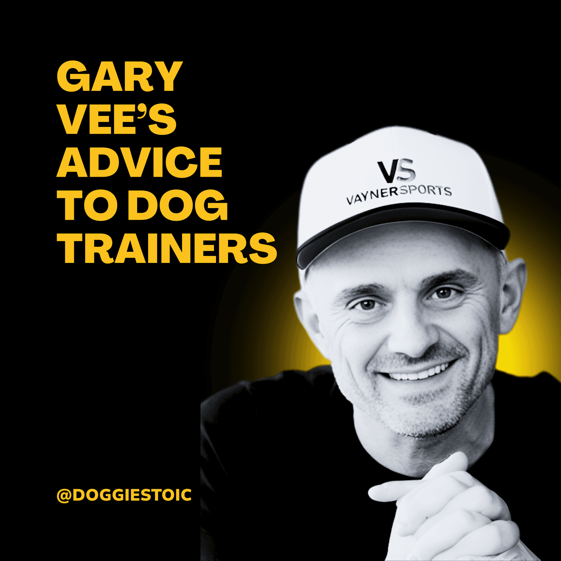 Gary Vee’s Strategy for Dog Trainers: Sales, Marketing & AI - Doggie Stoic cover