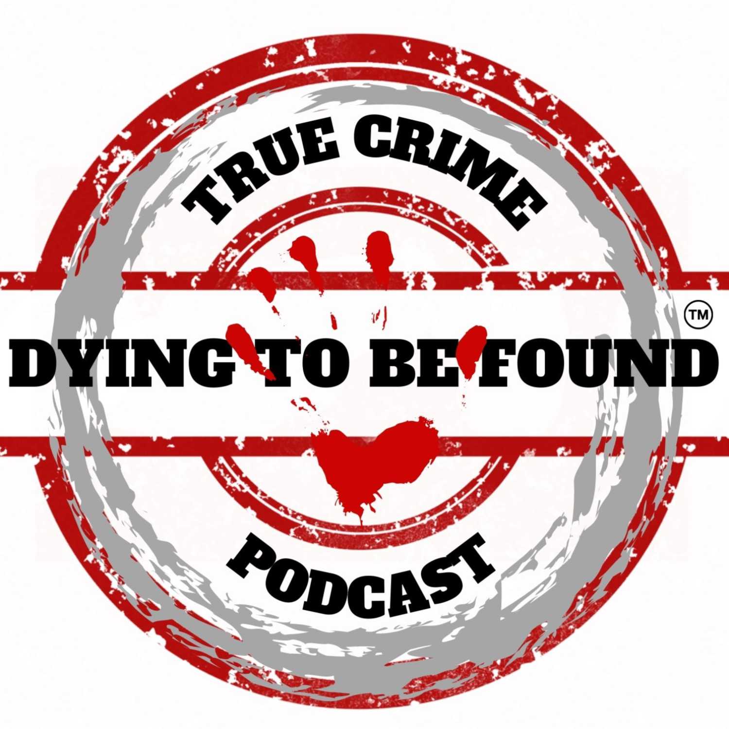 Solving Krista Martin Featuring Social Detective - Dying to be Found cover