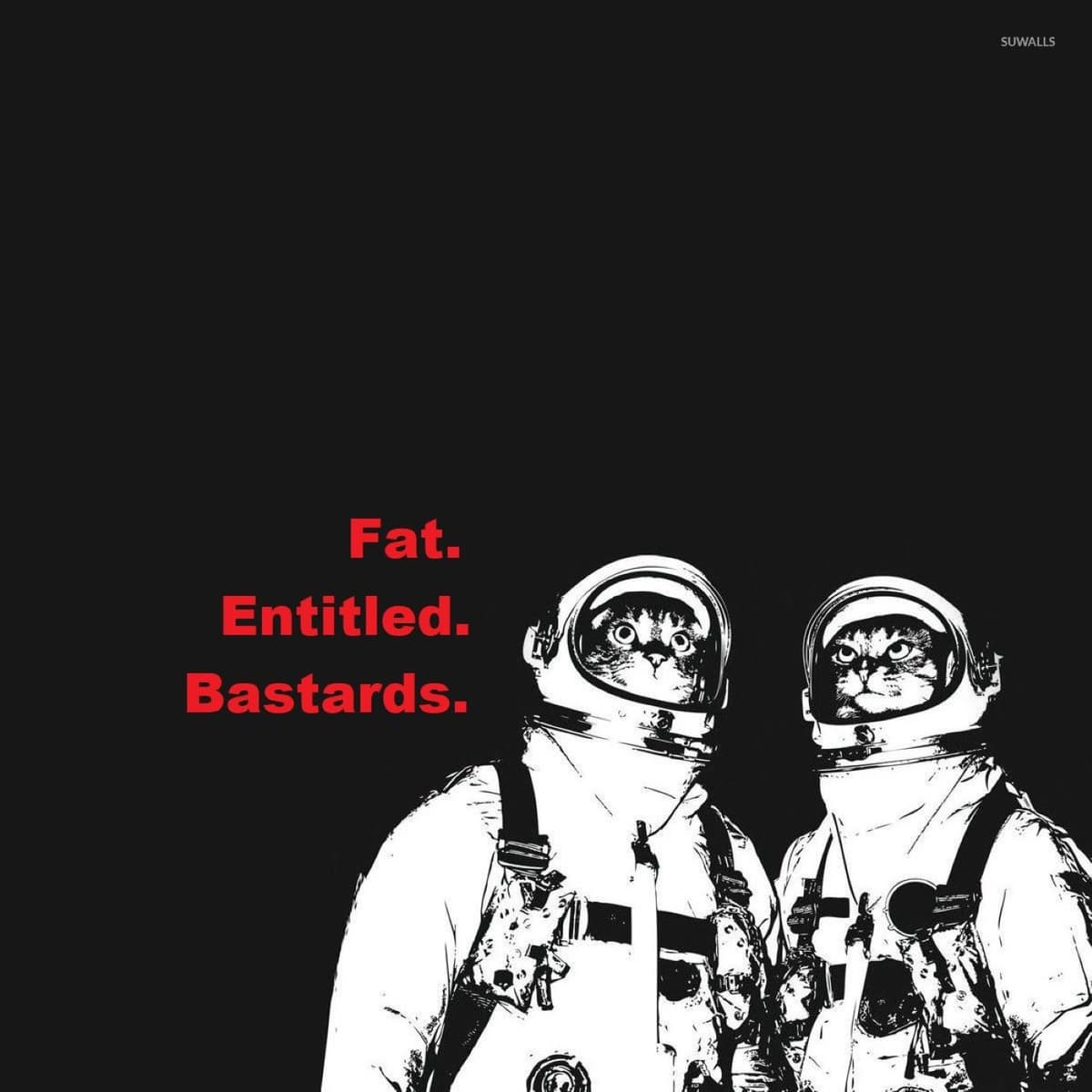 El Bastardo Magnifishow 5 - Fat Entitled Bastards cover