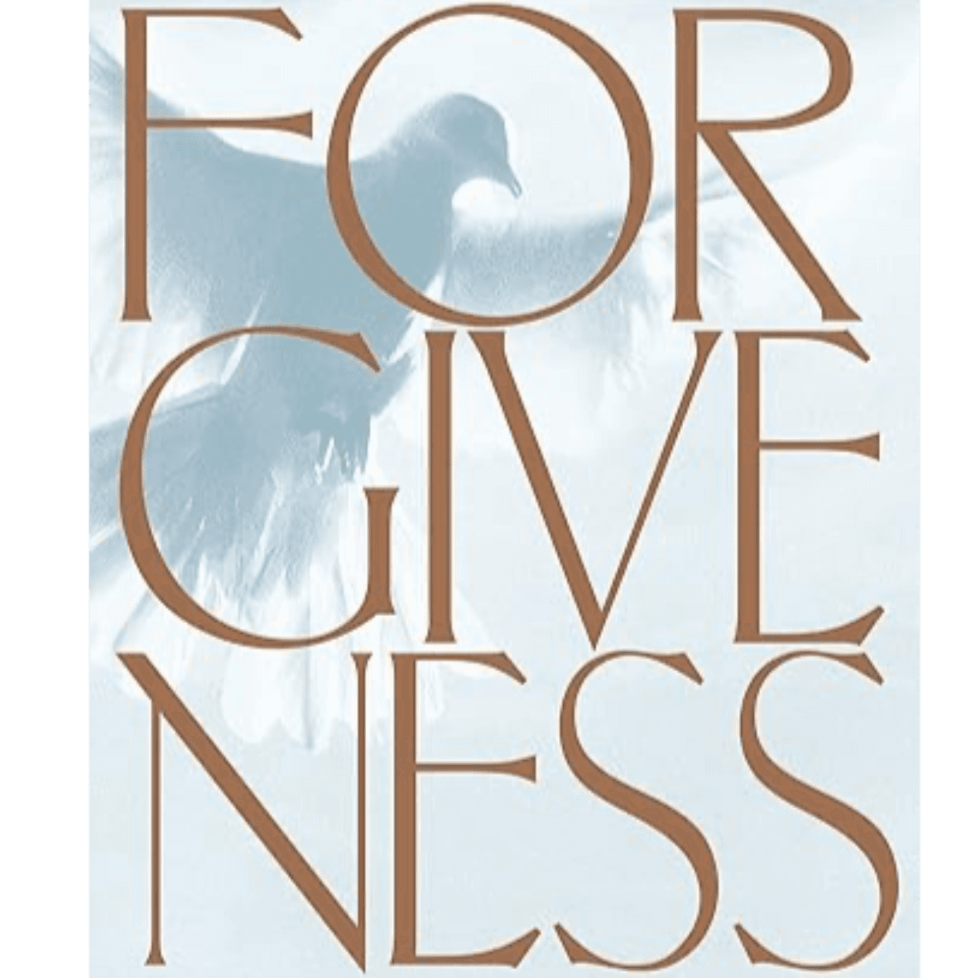 Forgiveness - A Bible Study cover