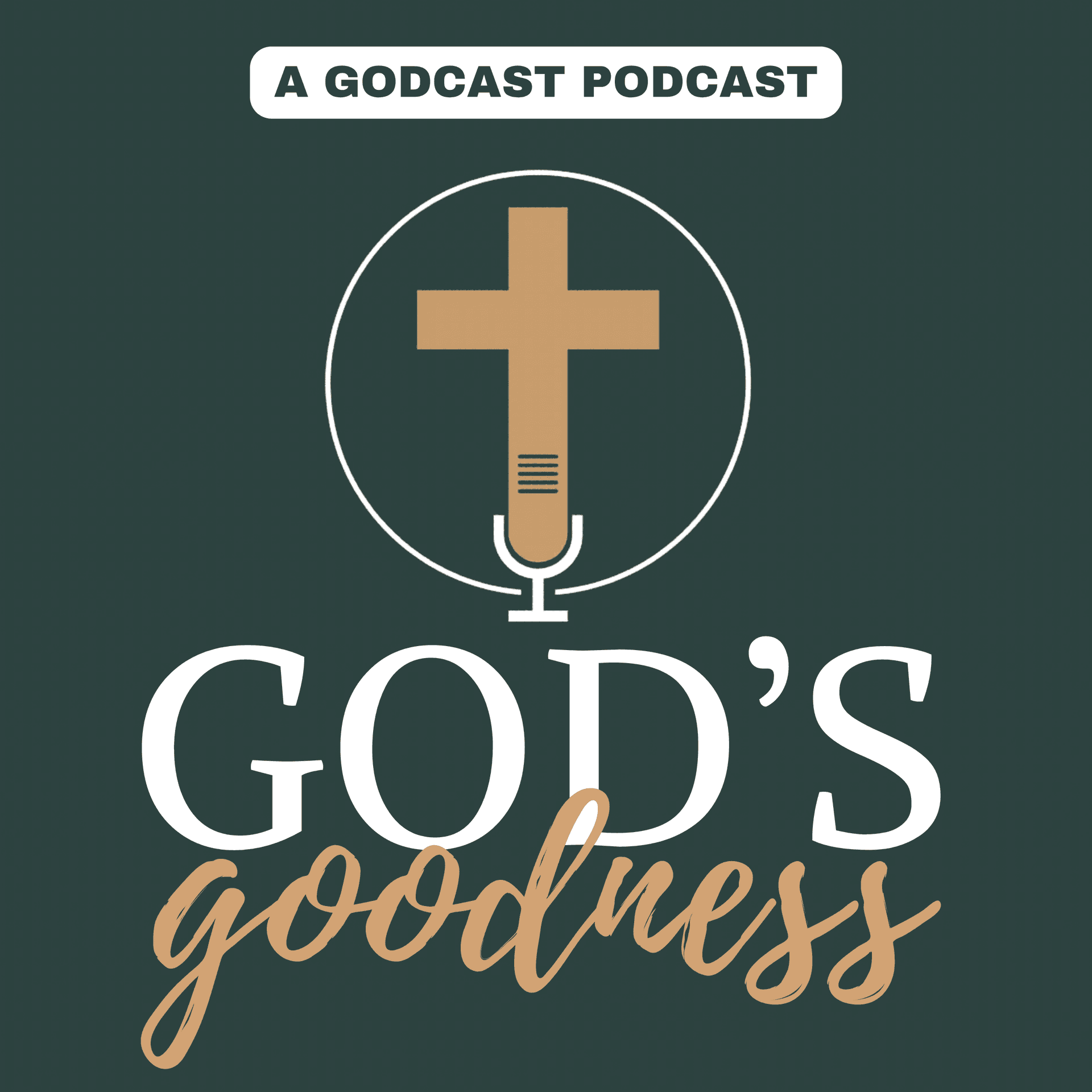 God’s Goodness | Christian Testimonies, Hearing God’s Voice, Miracles, True Stories, God Stories cover