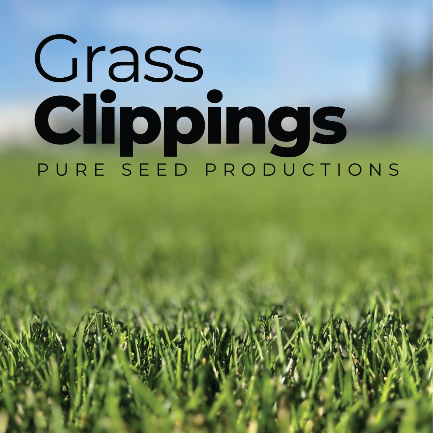 Grass Clippings cover