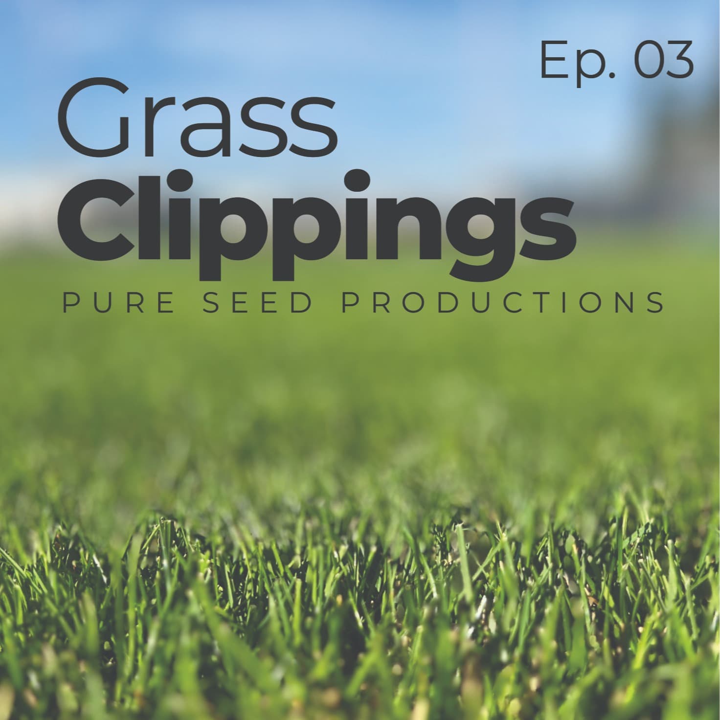 Turfgrass Management Insights at the High School Level - Grass Clippings cover