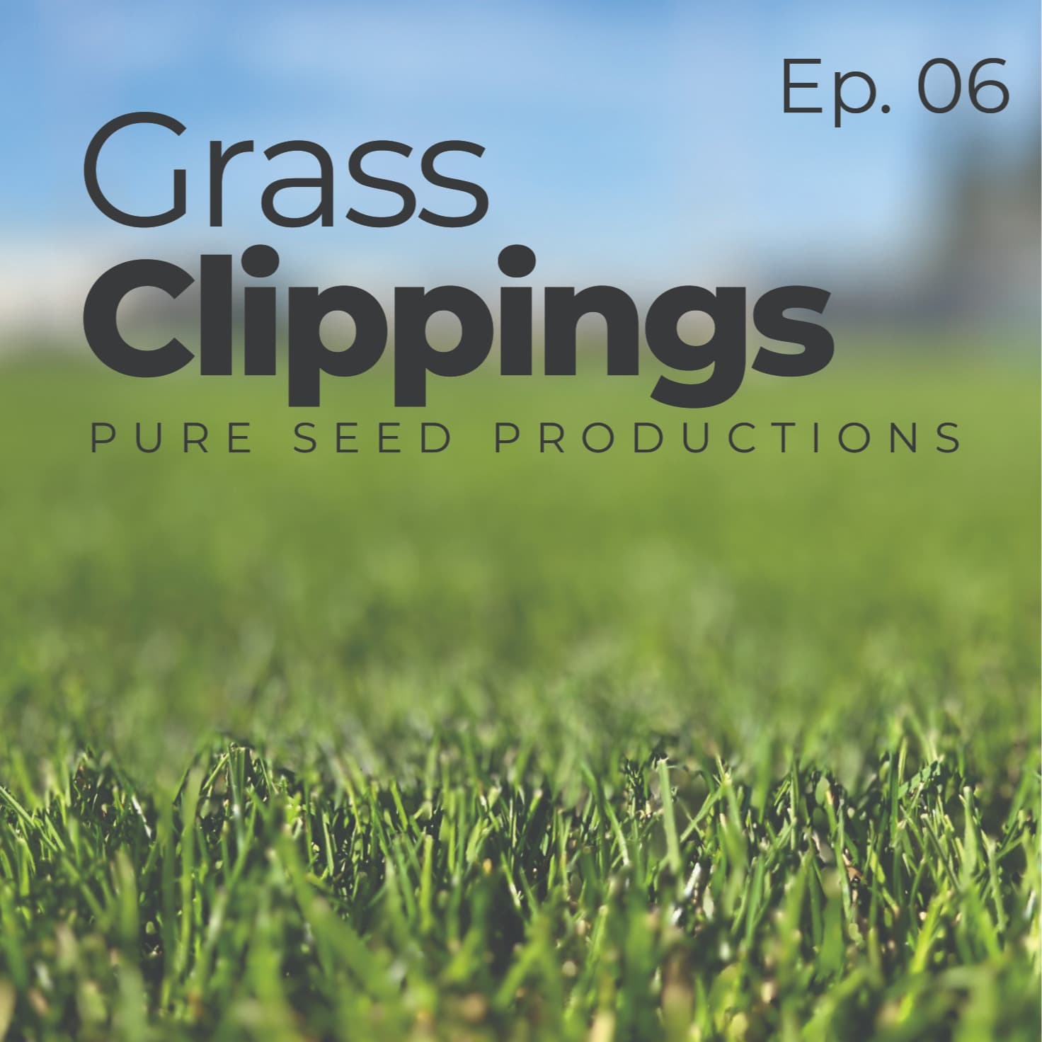 Celebrating the Unsung Heroes: Field of the Year at UGA - Grass Clippings cover
