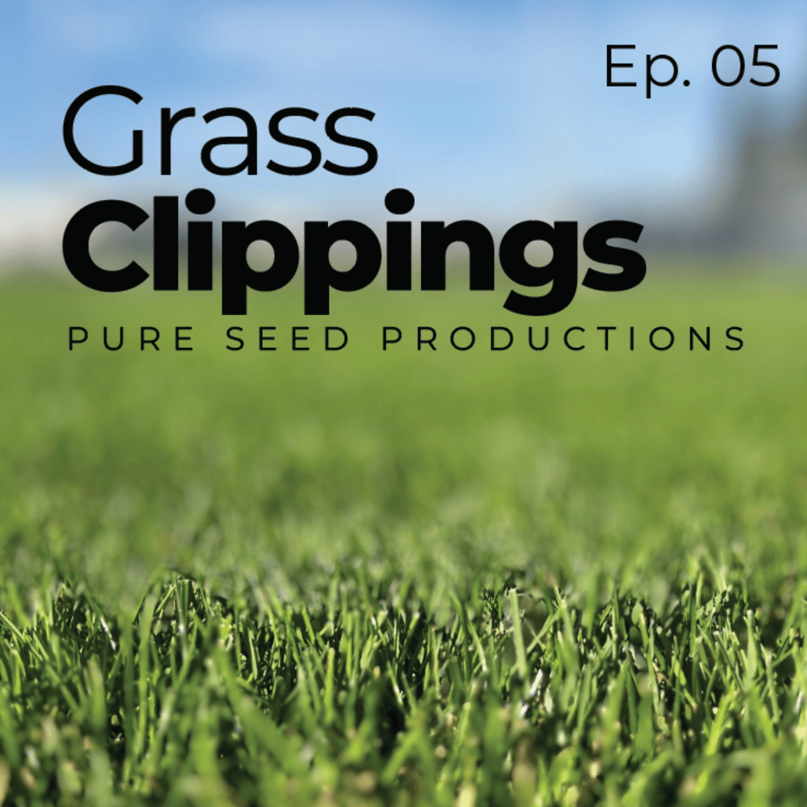 The Playing Field: Where Athlete and Turfgrass Management Connect - Grass Clippings cover
